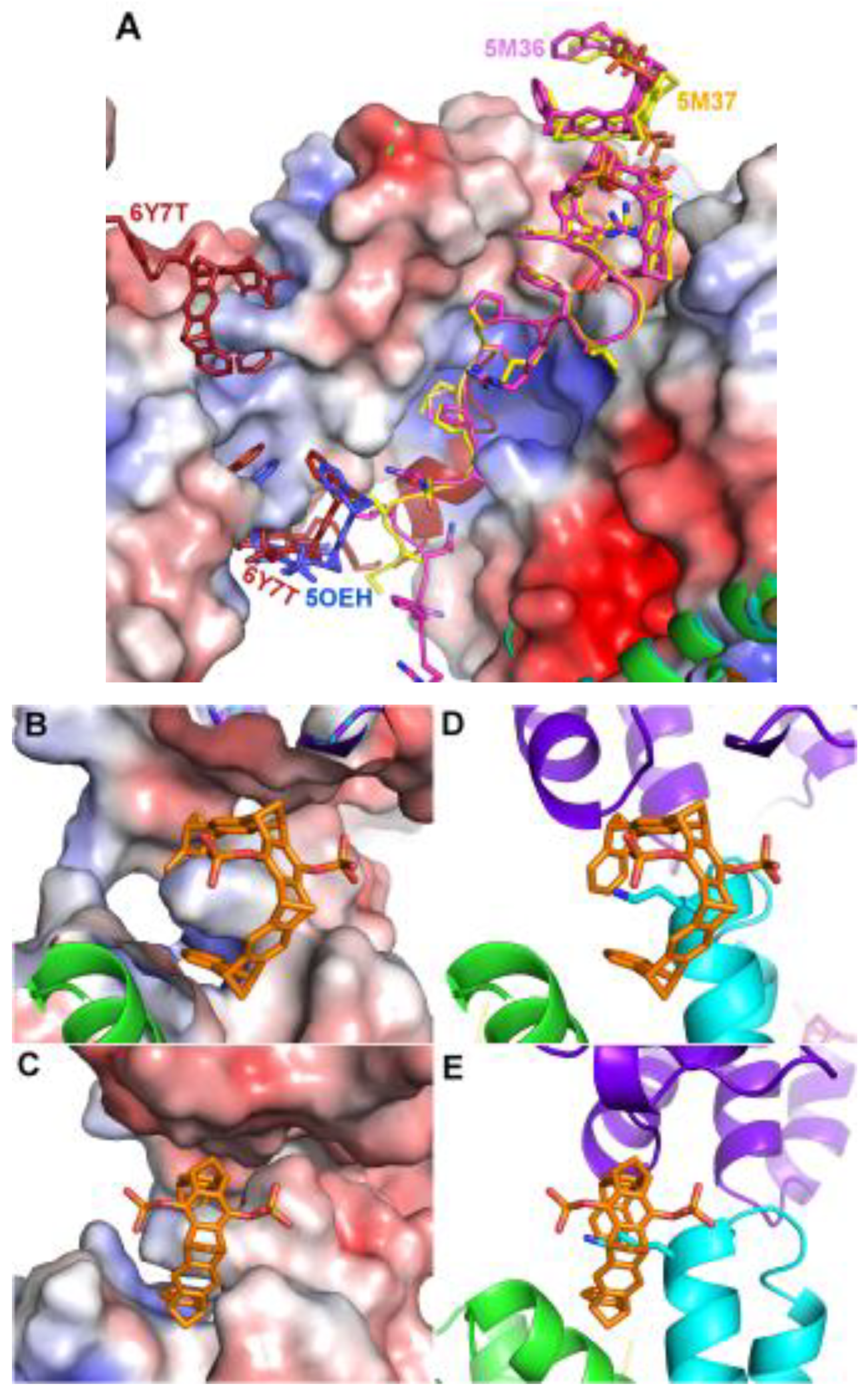 Preprints 99884 g003