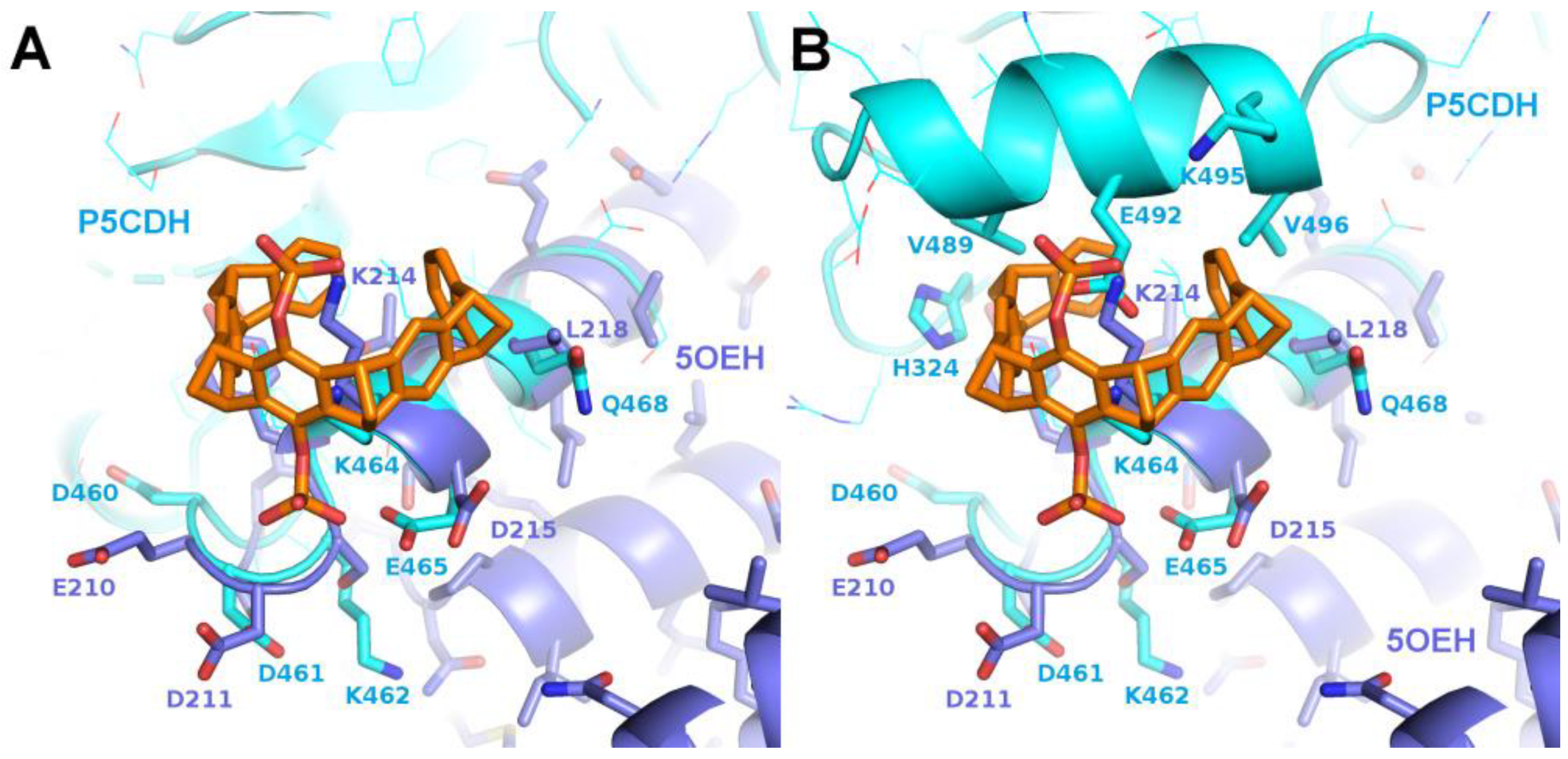 Preprints 99884 g004