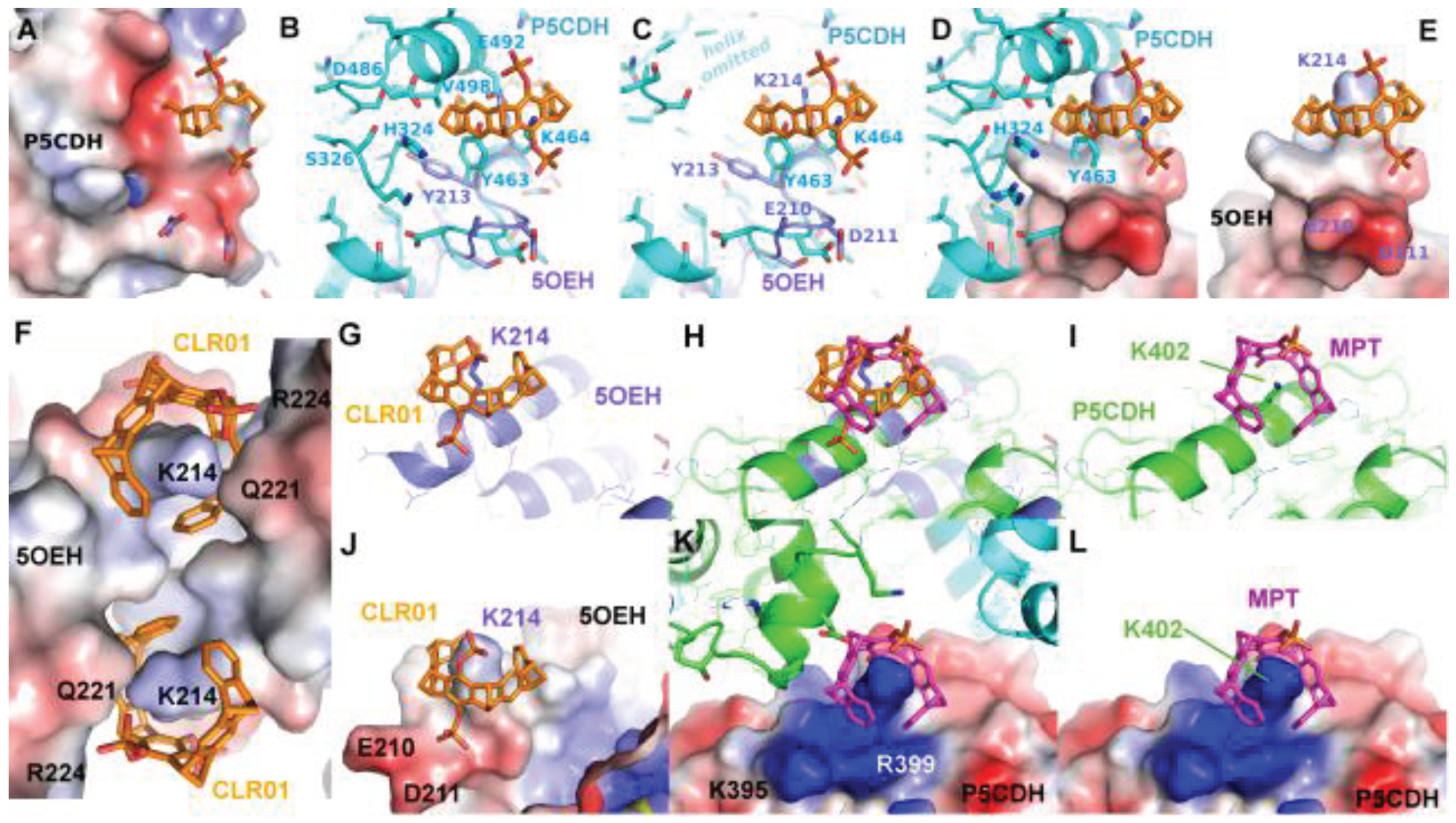 Preprints 99884 g007