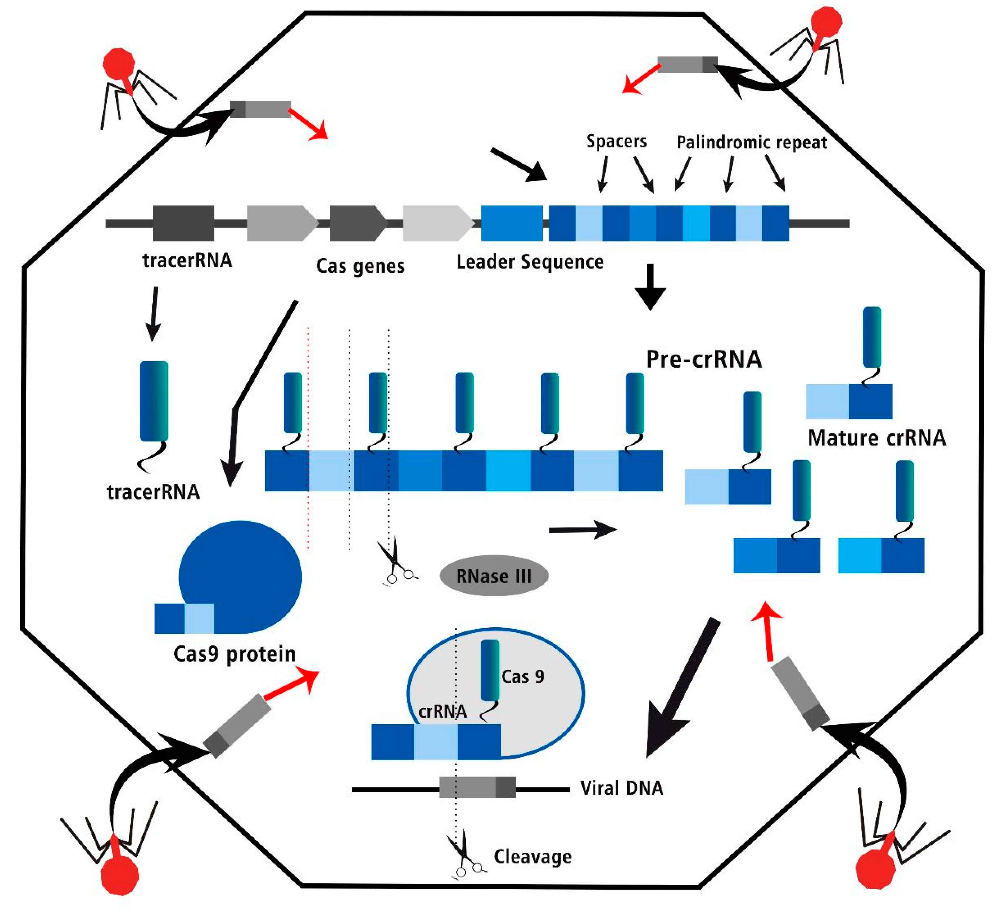 Preprints 97412 g002