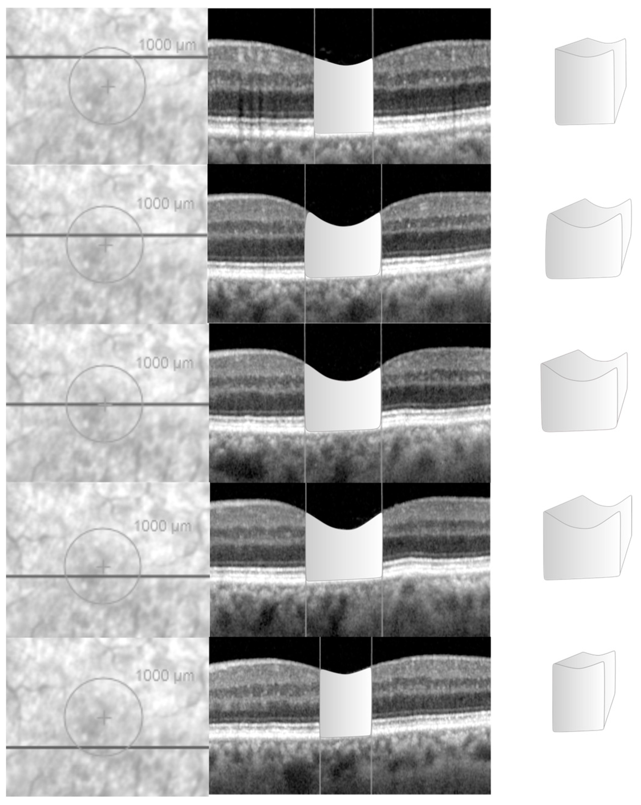 Preprints 109342 g002