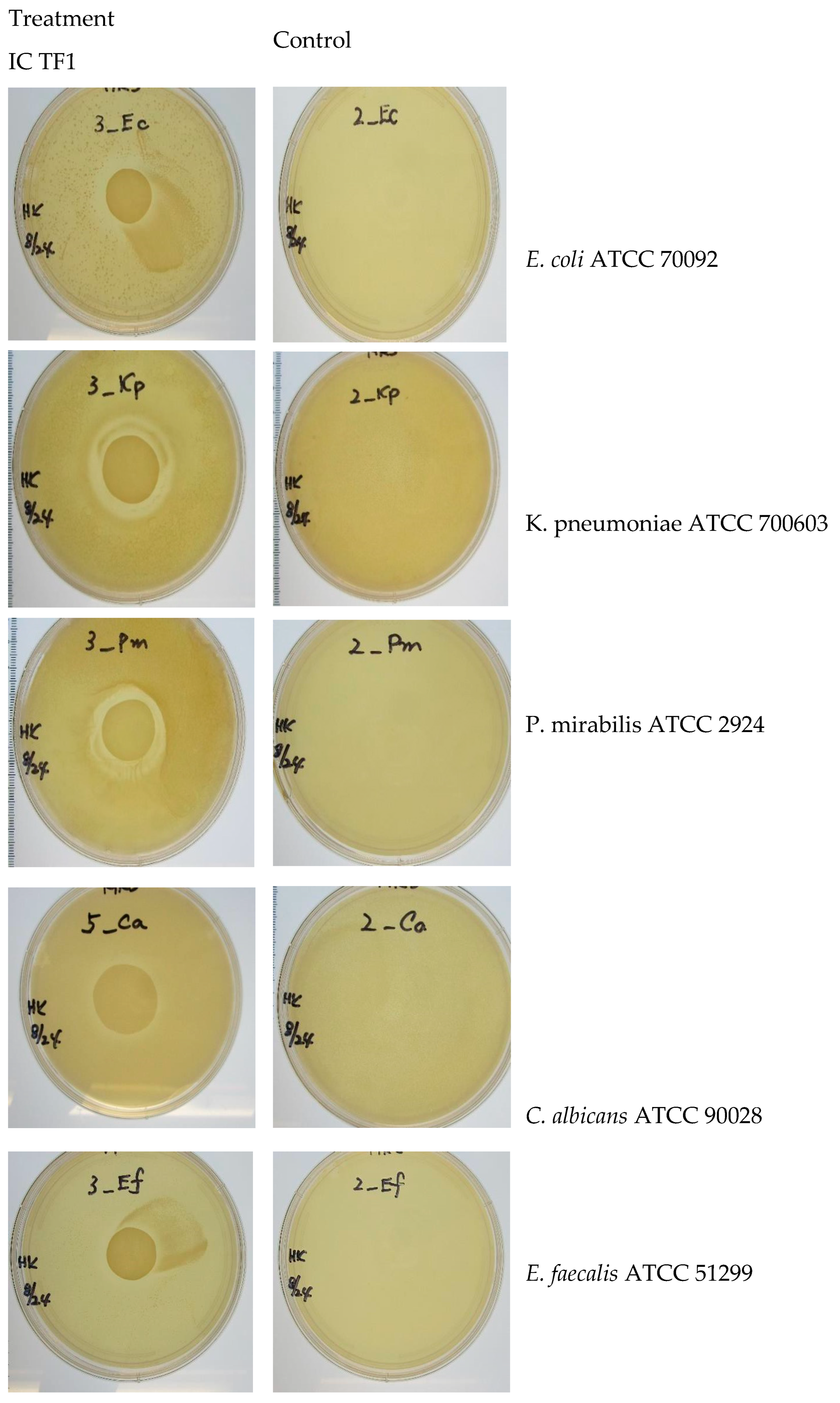 Preprints 114766 g004