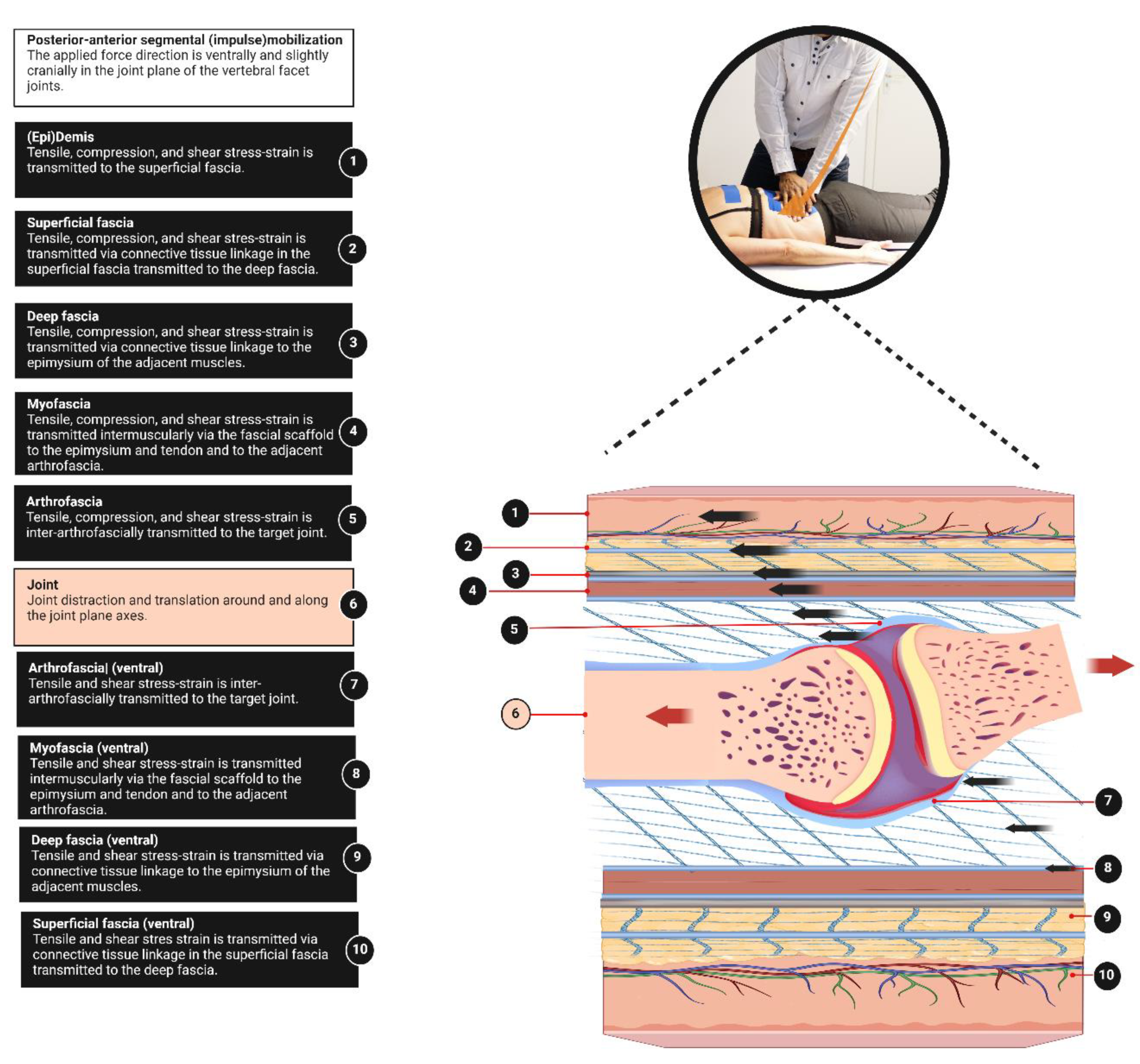 Preprints 107397 g003