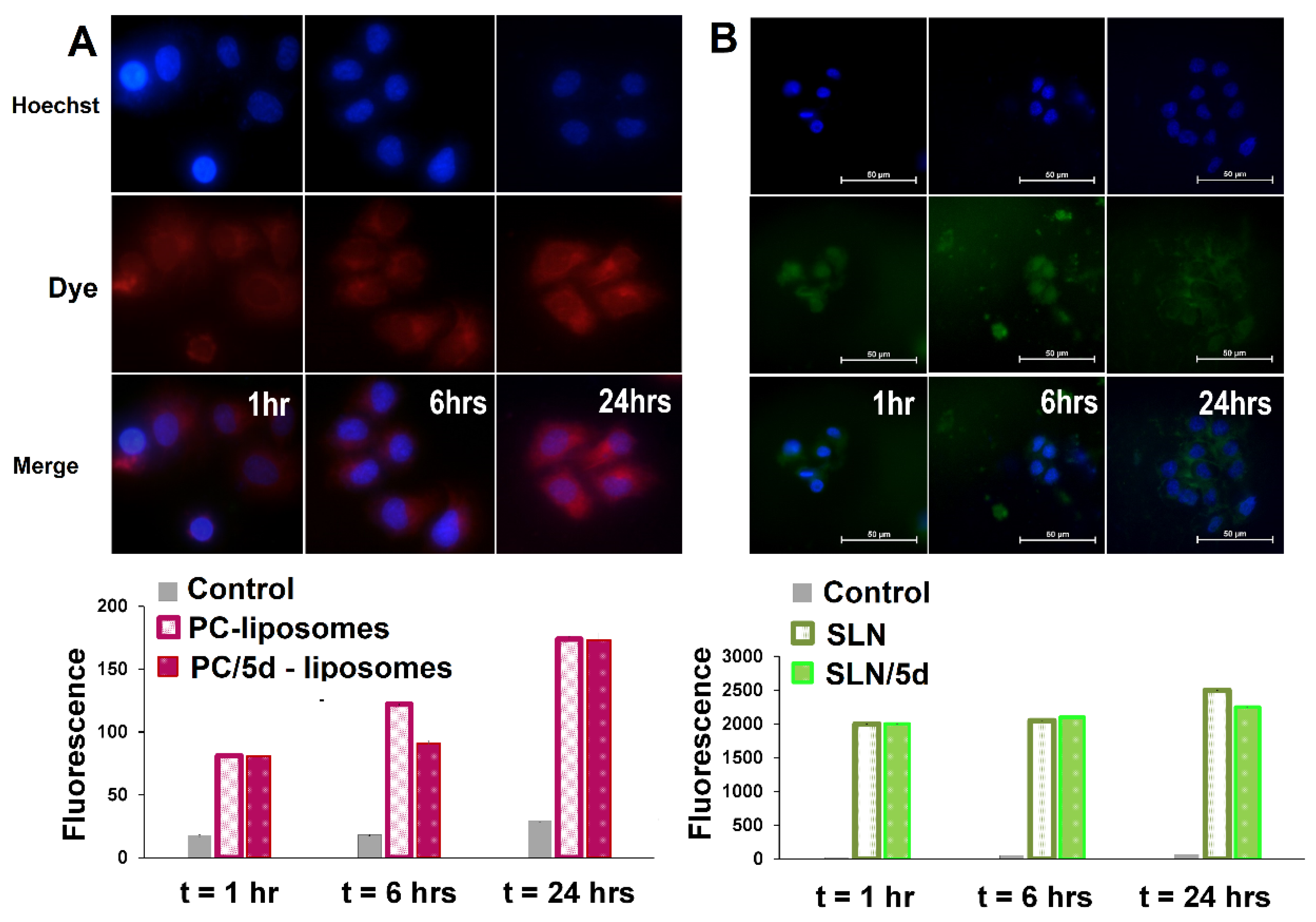 Preprints 85765 g007