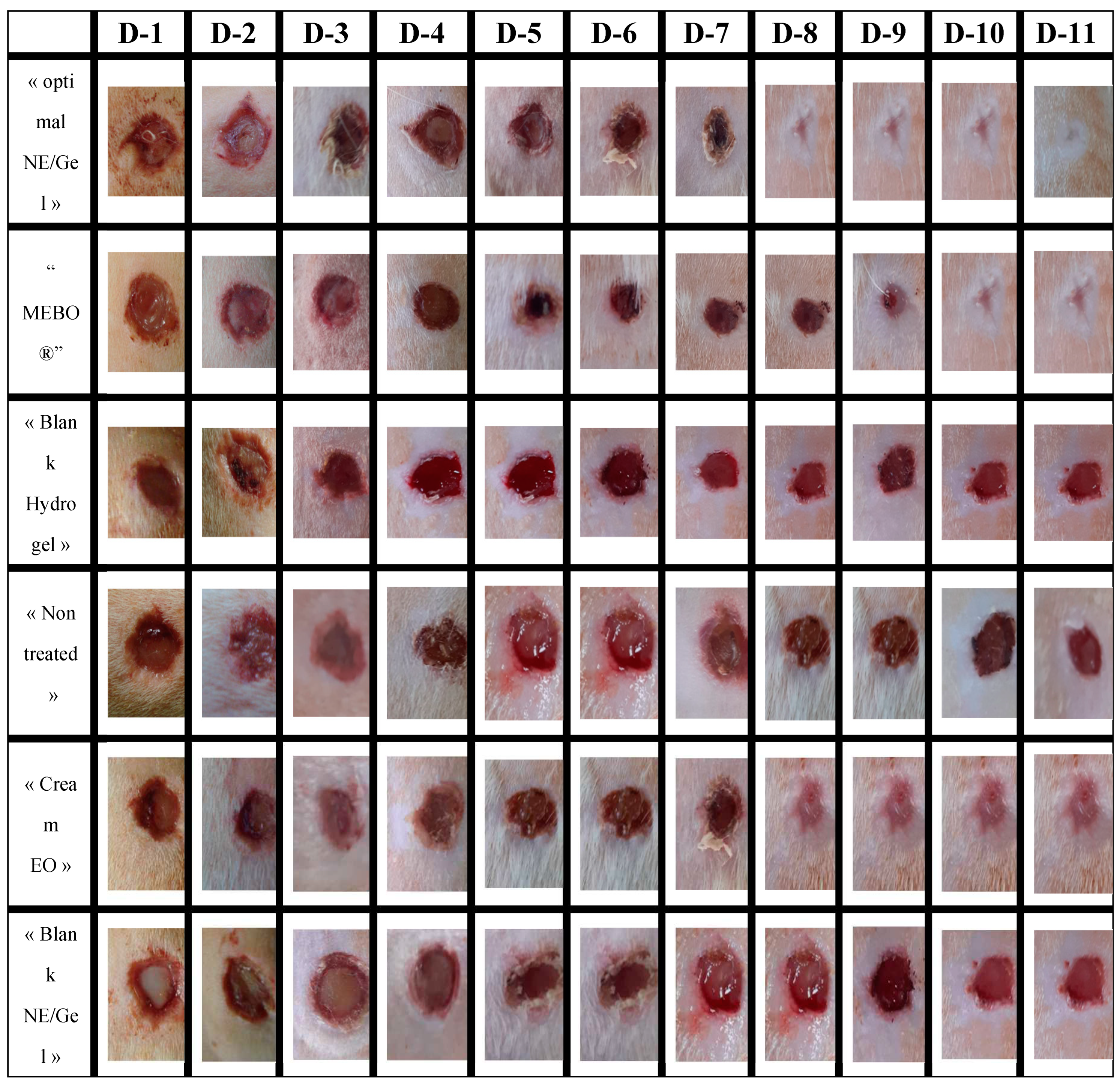 Preprints 81165 g006