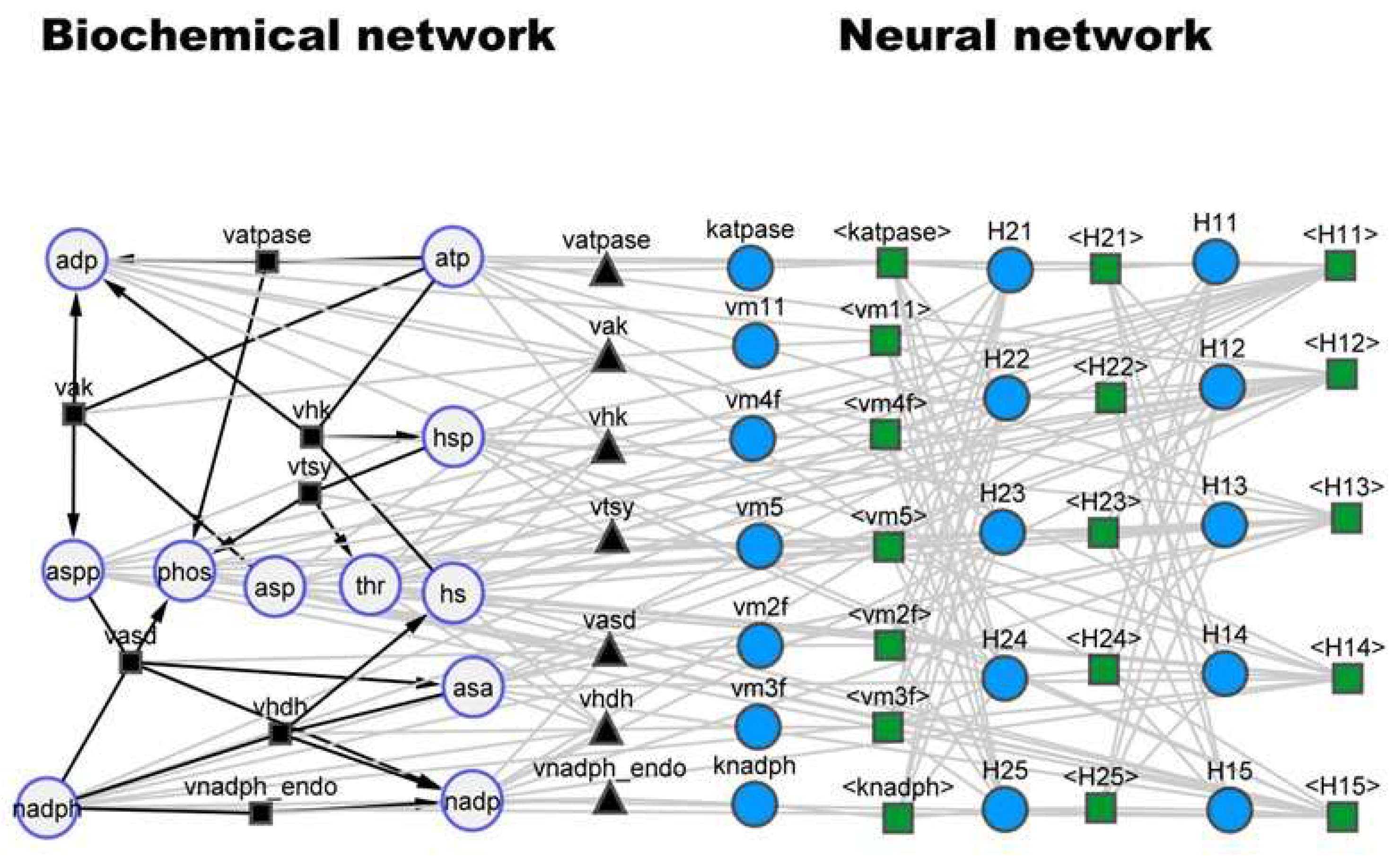 Preprints 68061 g002