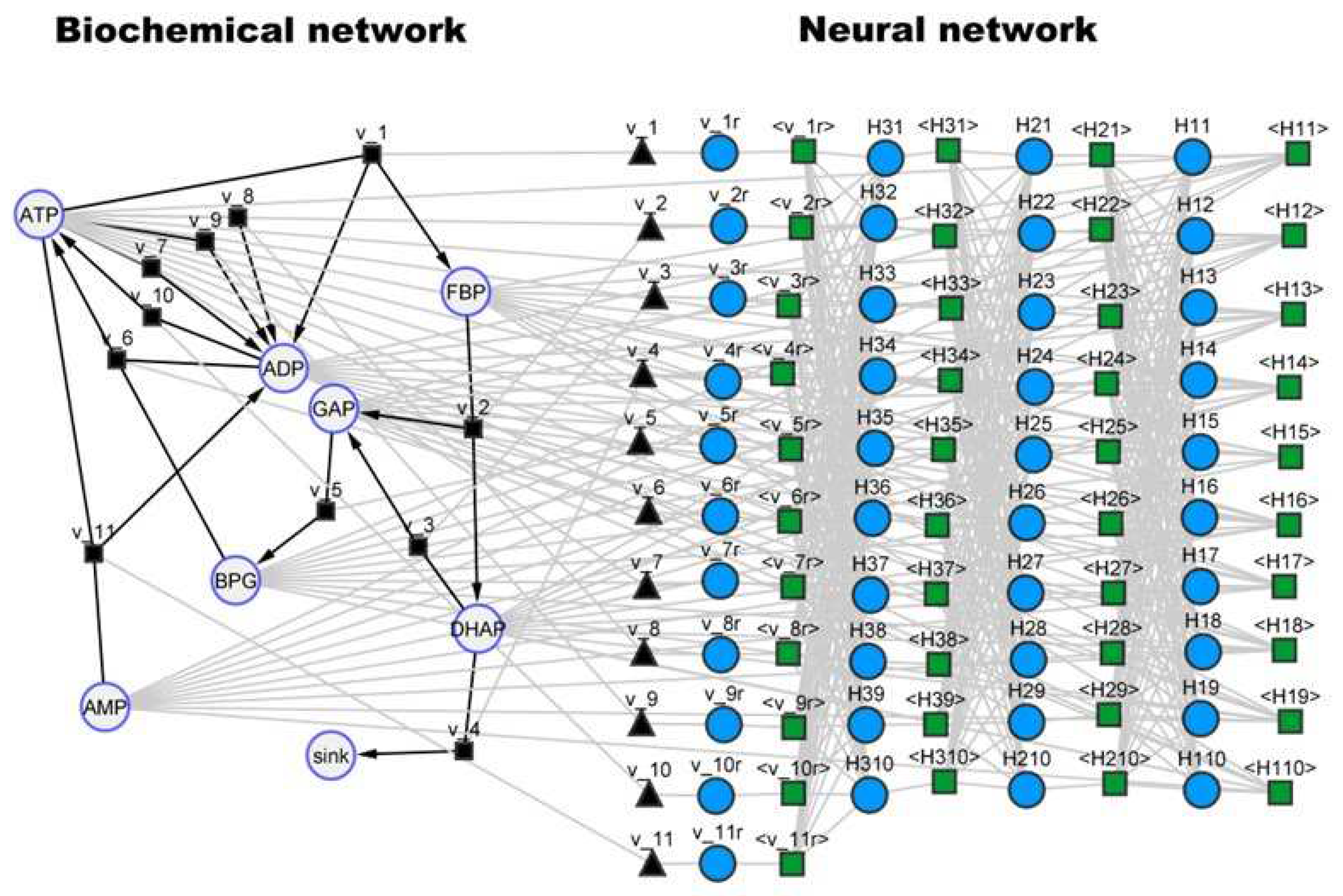 Preprints 68061 g007