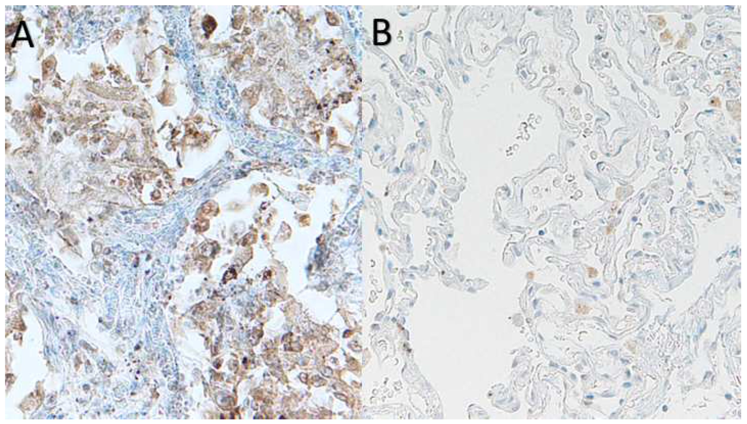 Preprints 89810 g004