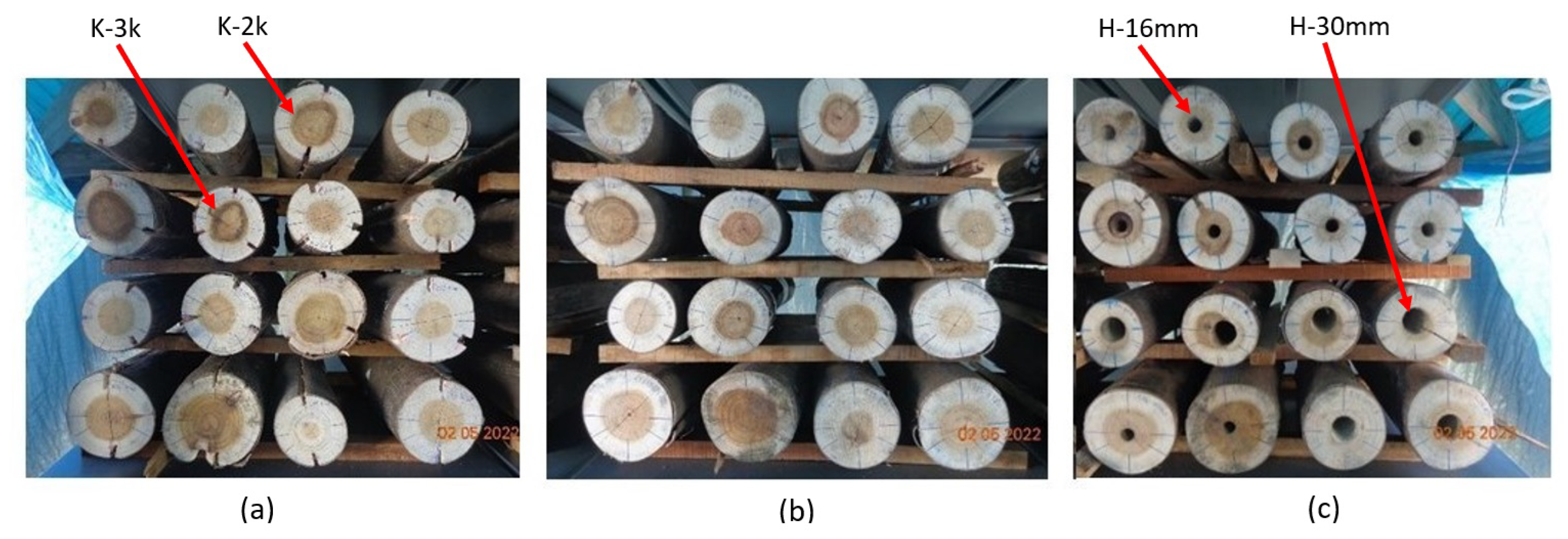 Preprints 108722 g002