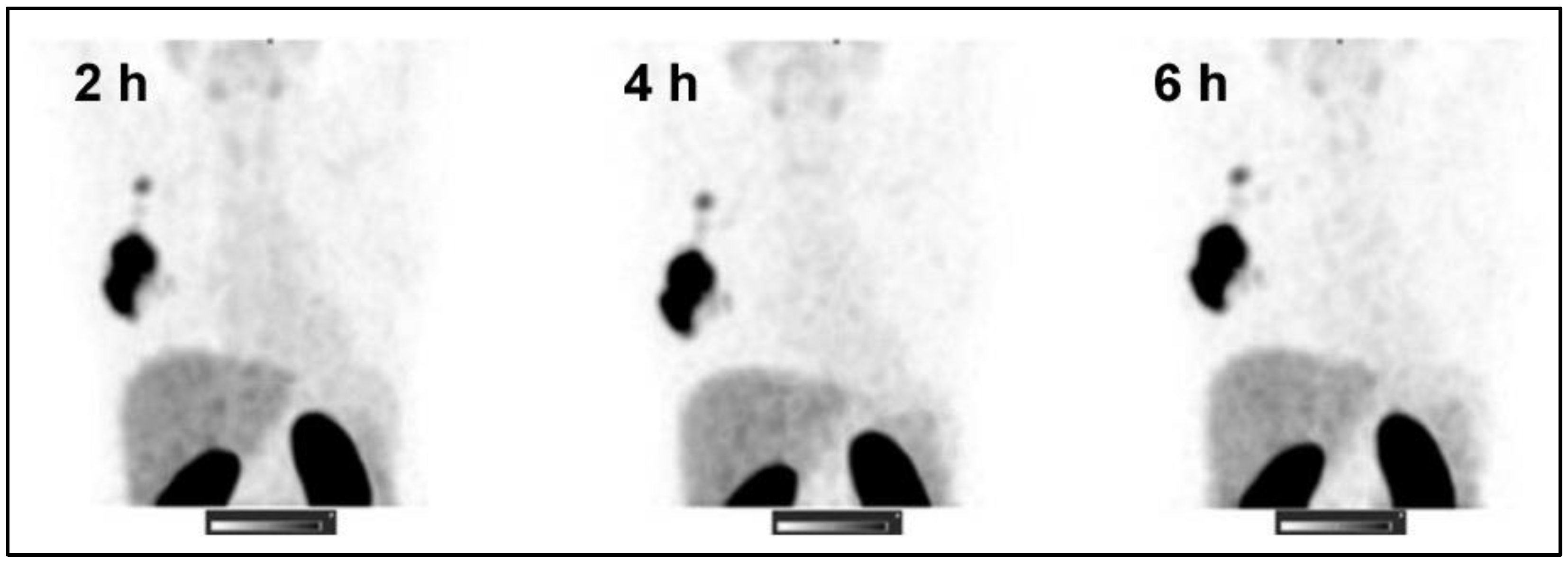 Preprints 104272 g005