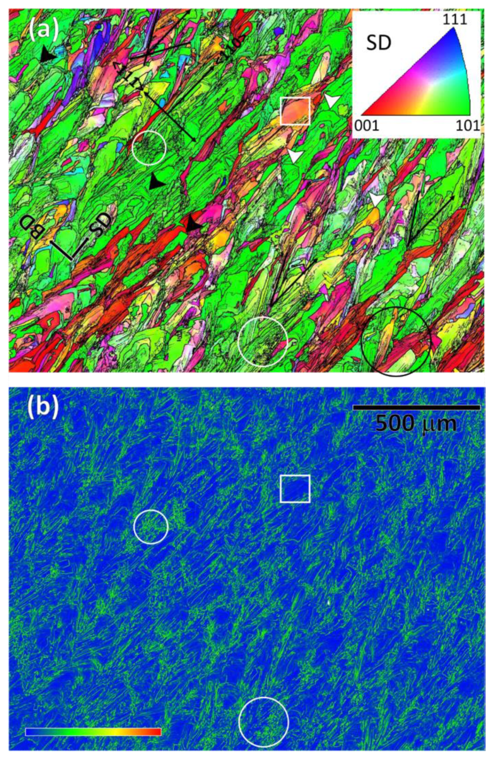 Preprints 72708 g002