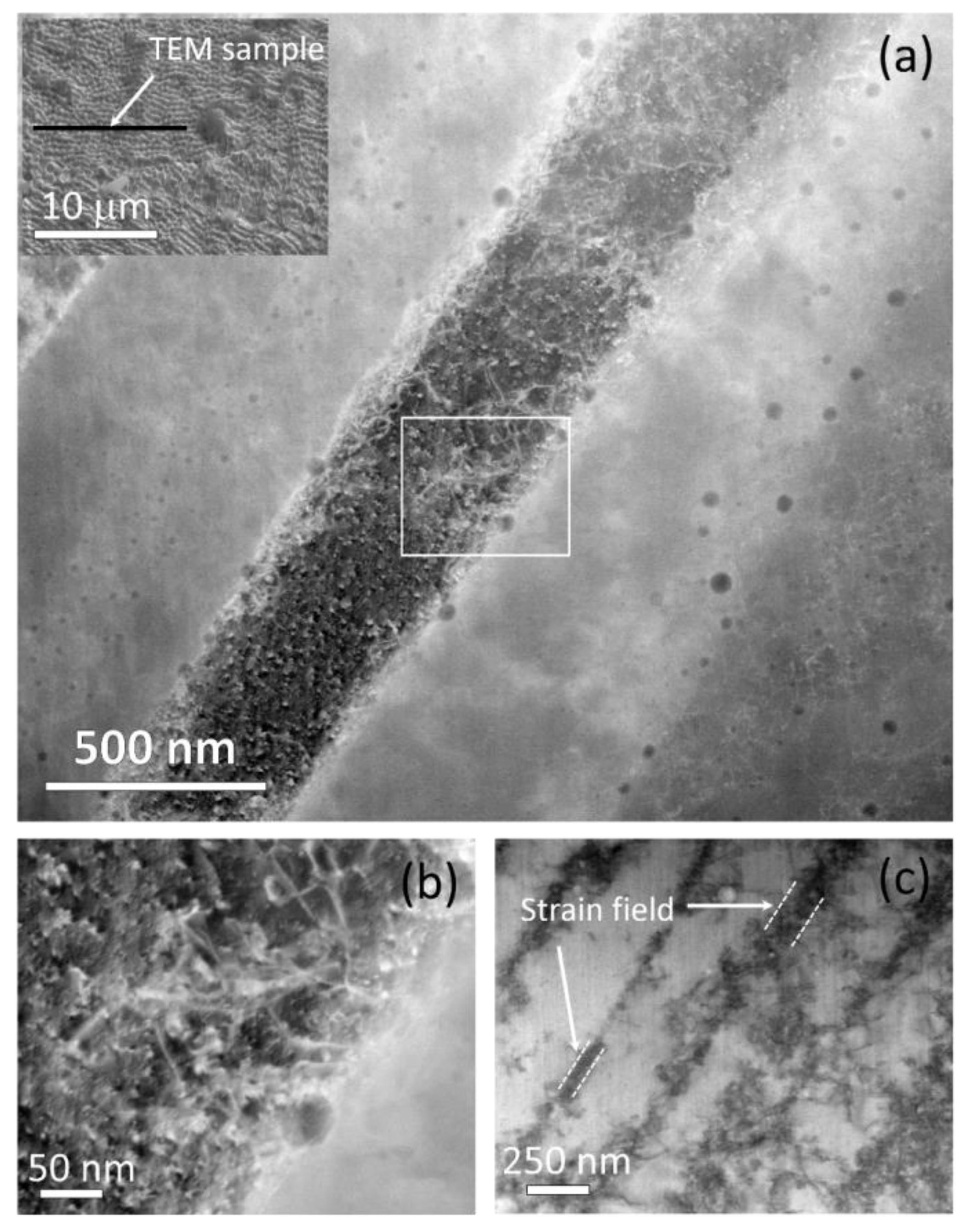 Preprints 72708 g003