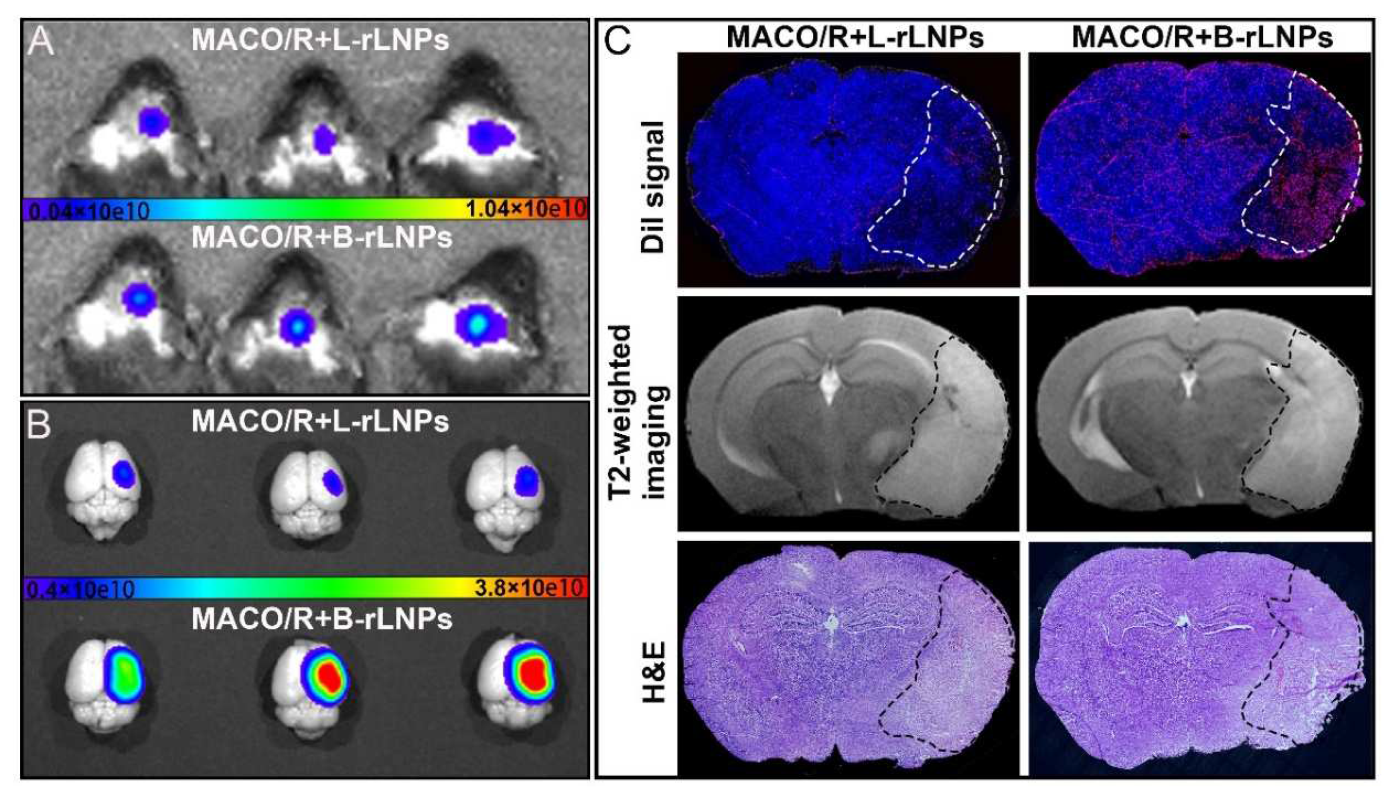 Preprints 79530 g002