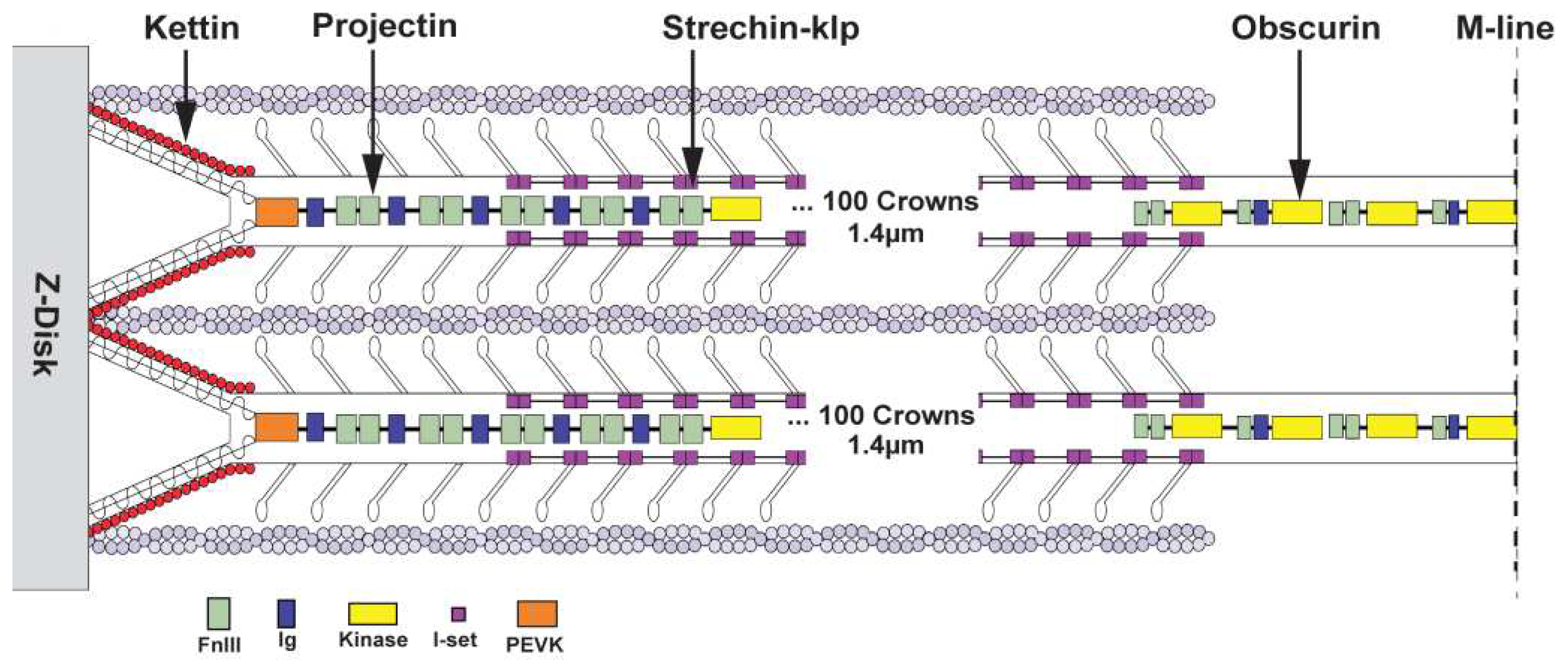 Preprints 84105 g001