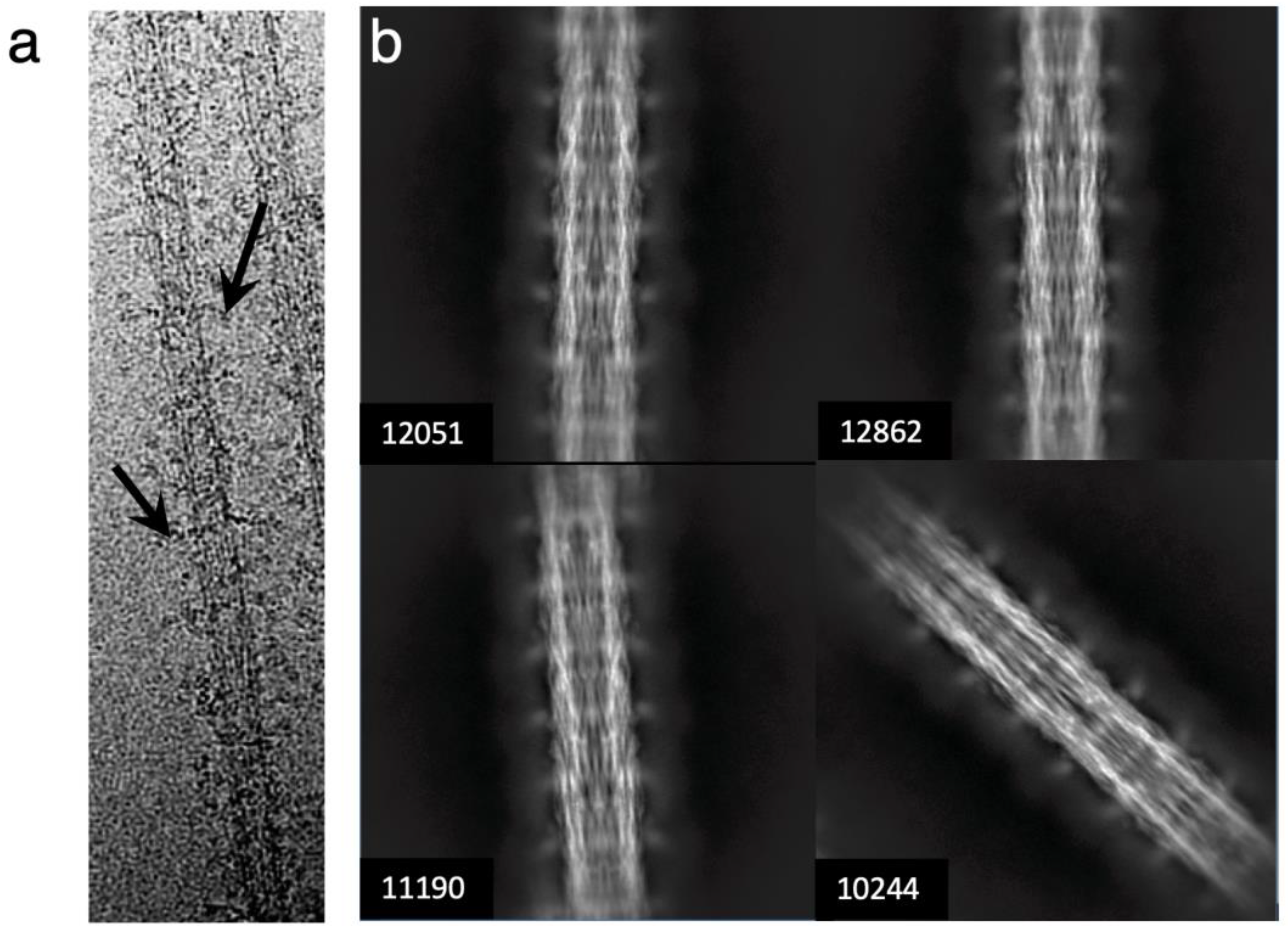 Preprints 84105 g002