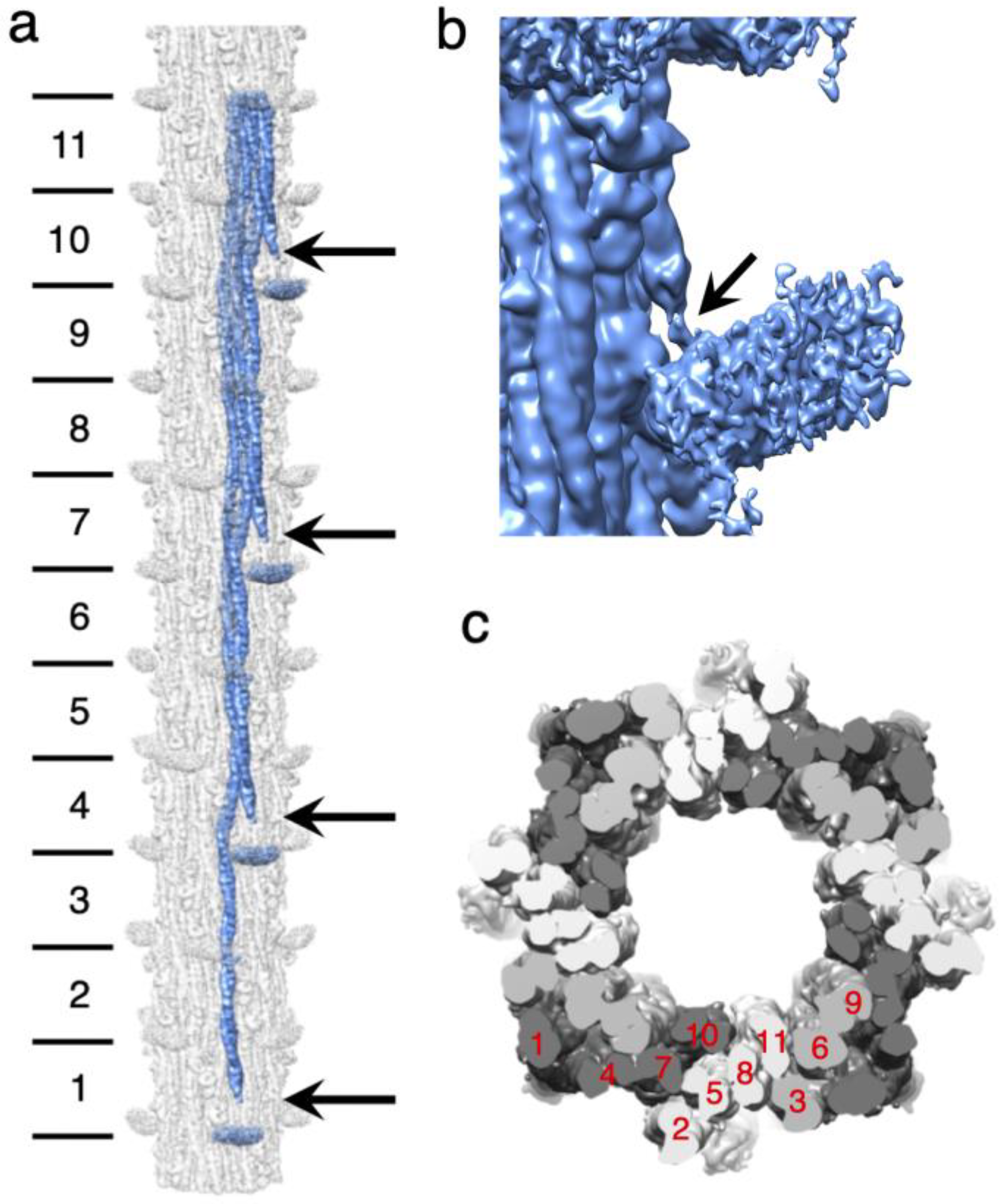 Preprints 84105 g003