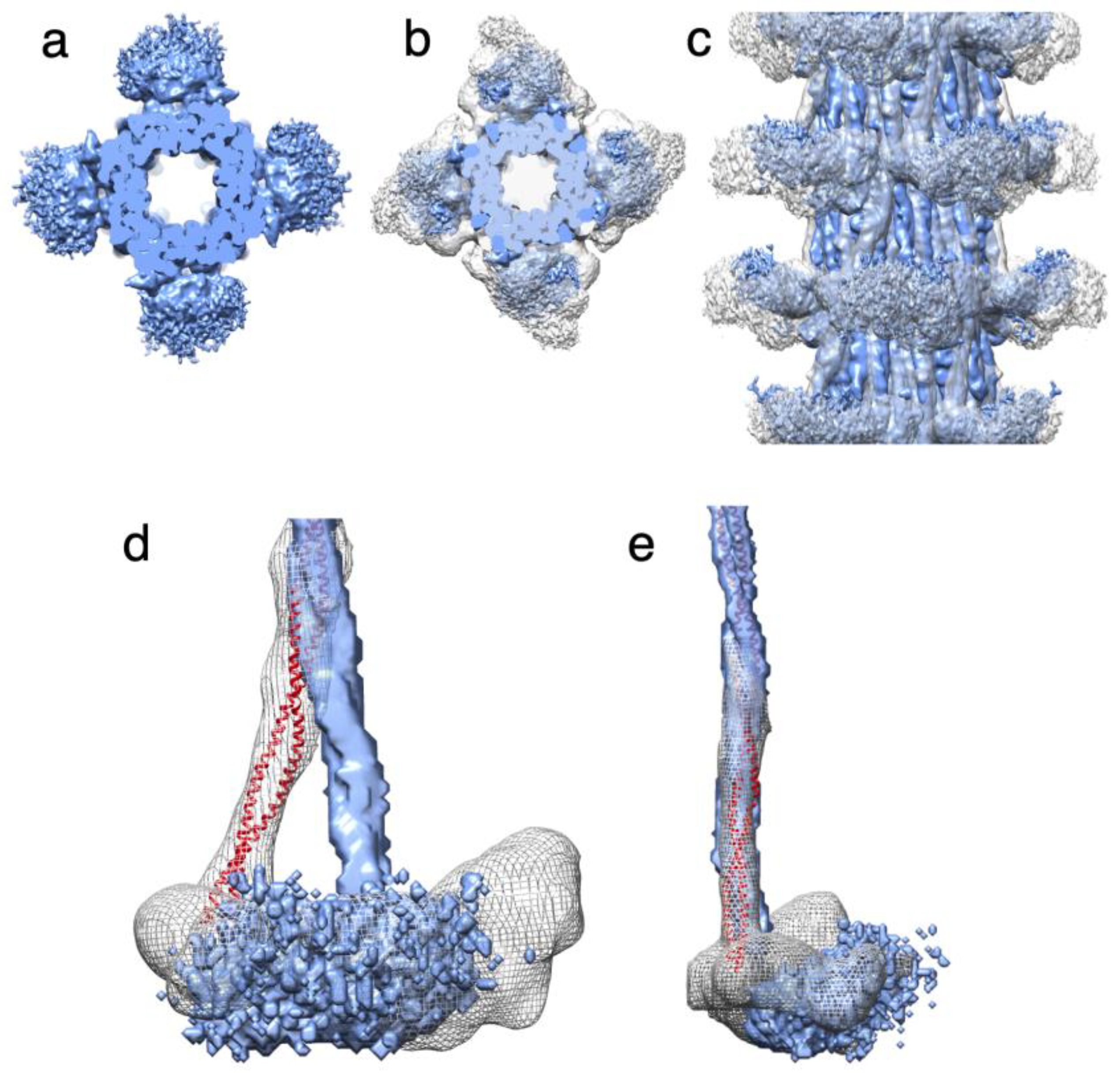 Preprints 84105 g004