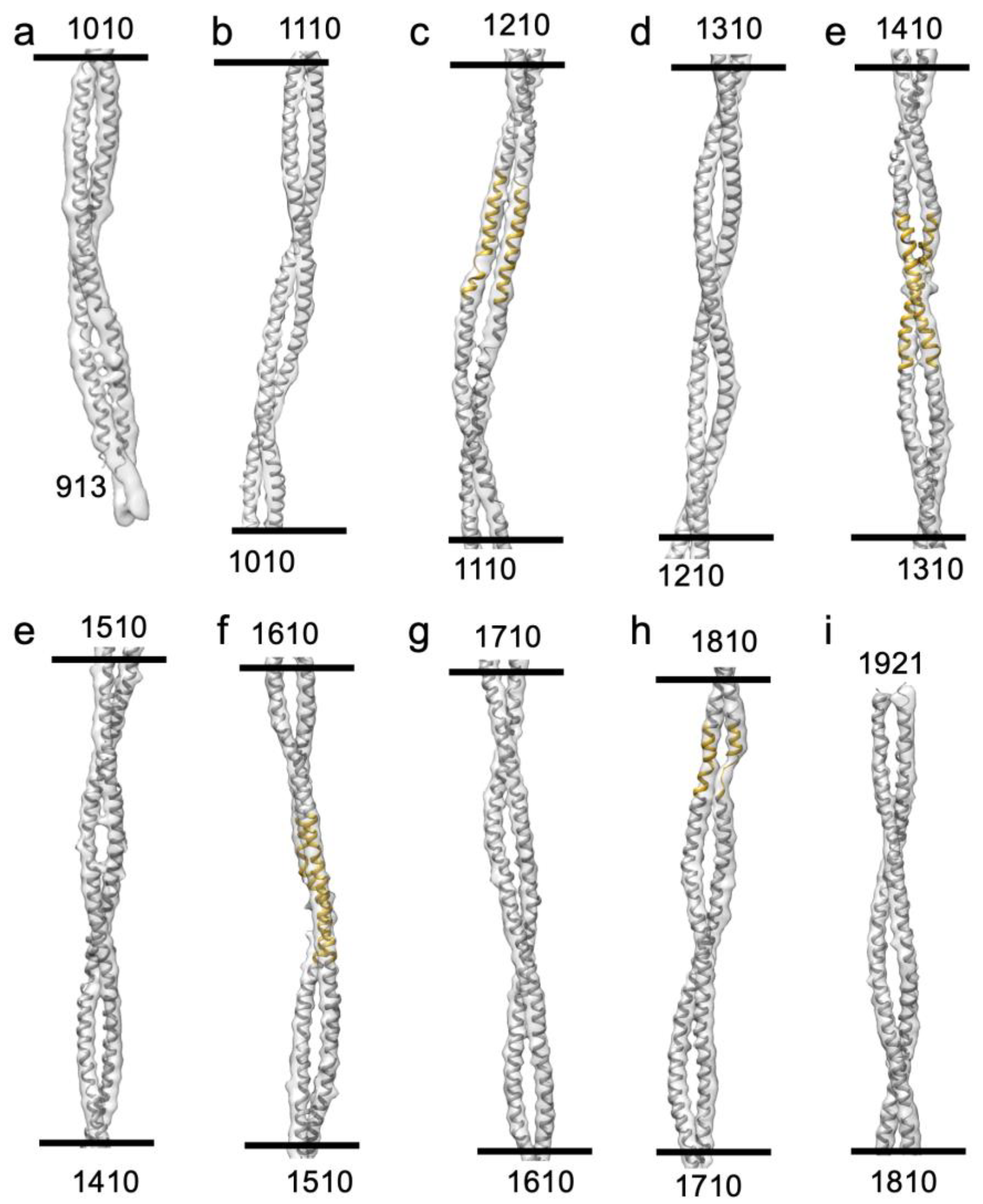 Preprints 84105 g005