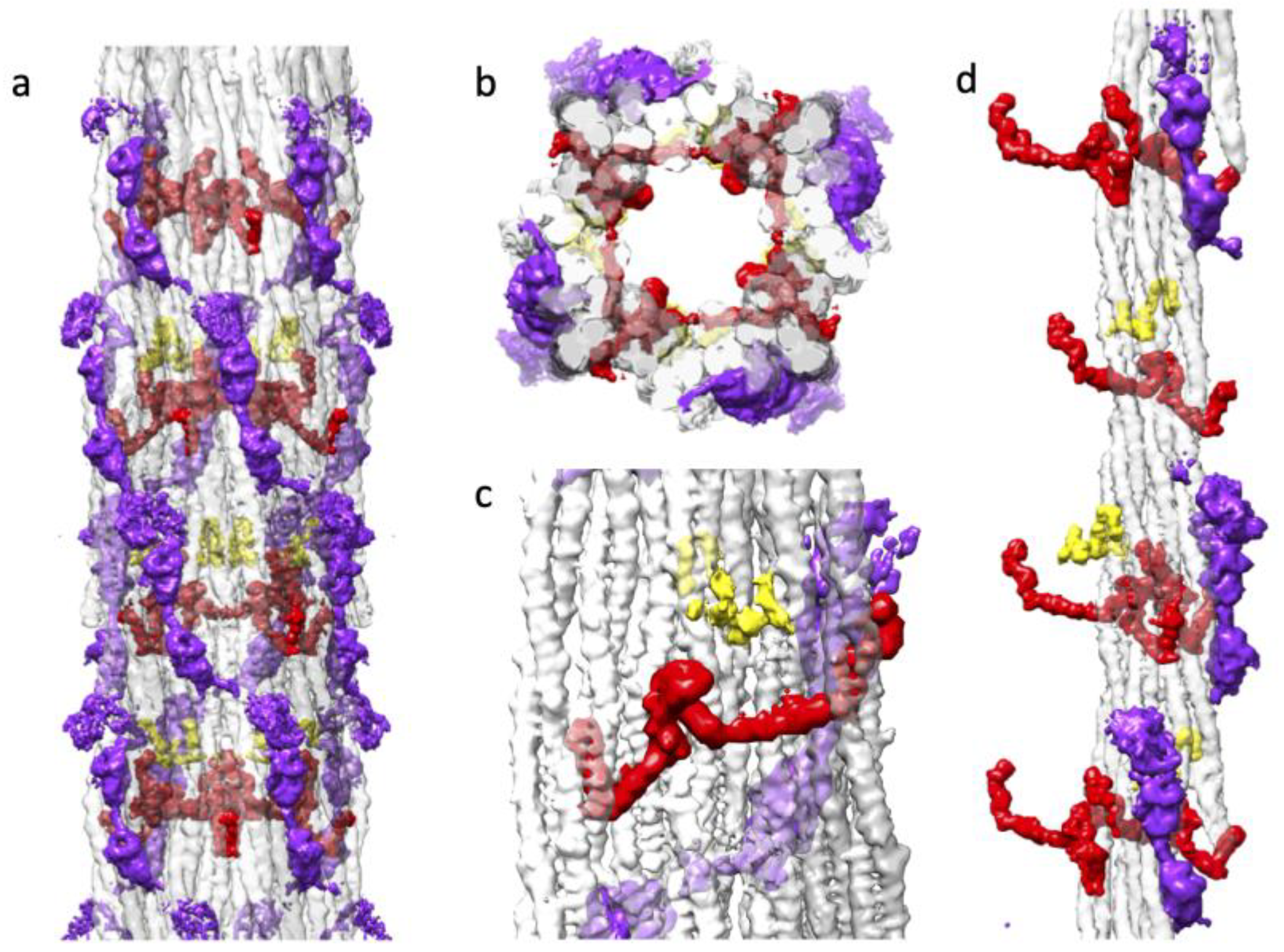 Preprints 84105 g006