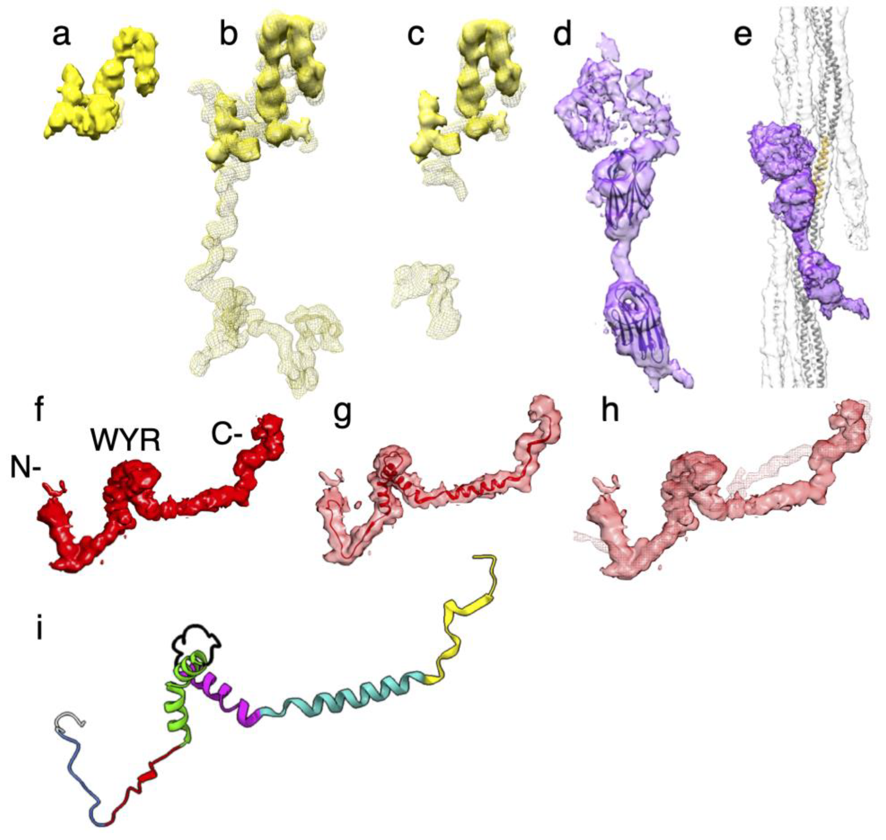 Preprints 84105 g007