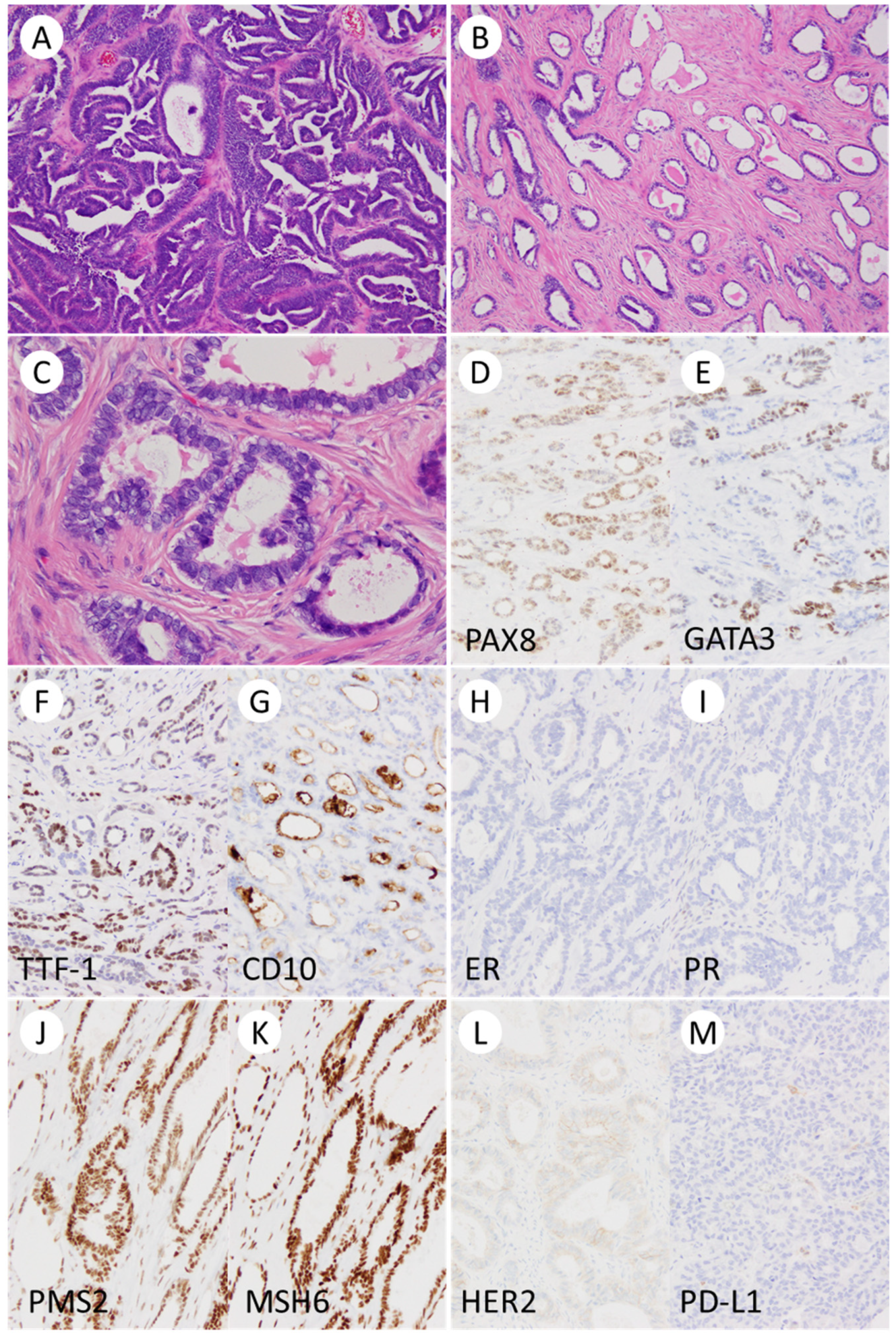 Preprints 114973 g001