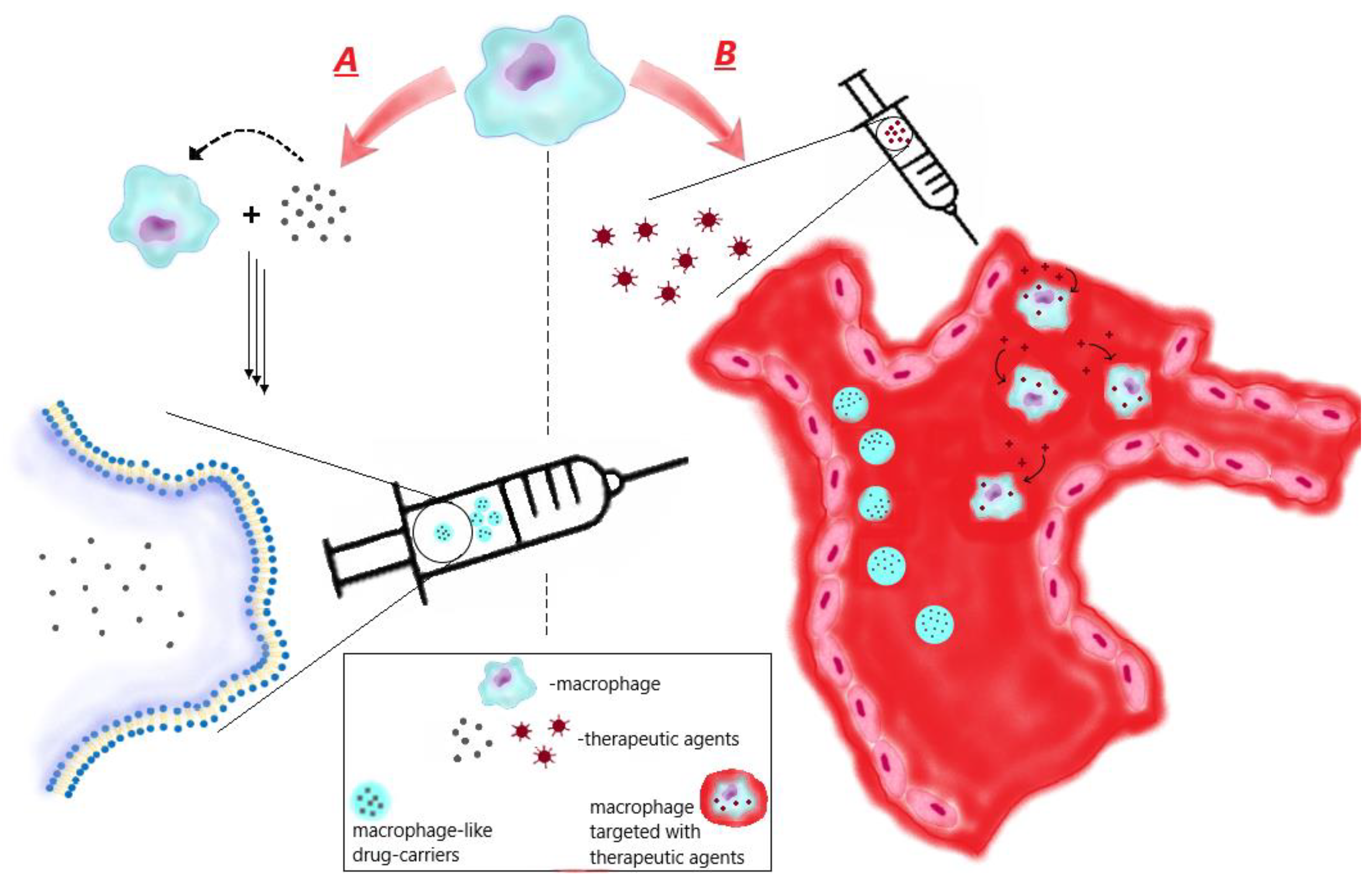 Preprints 82106 g001