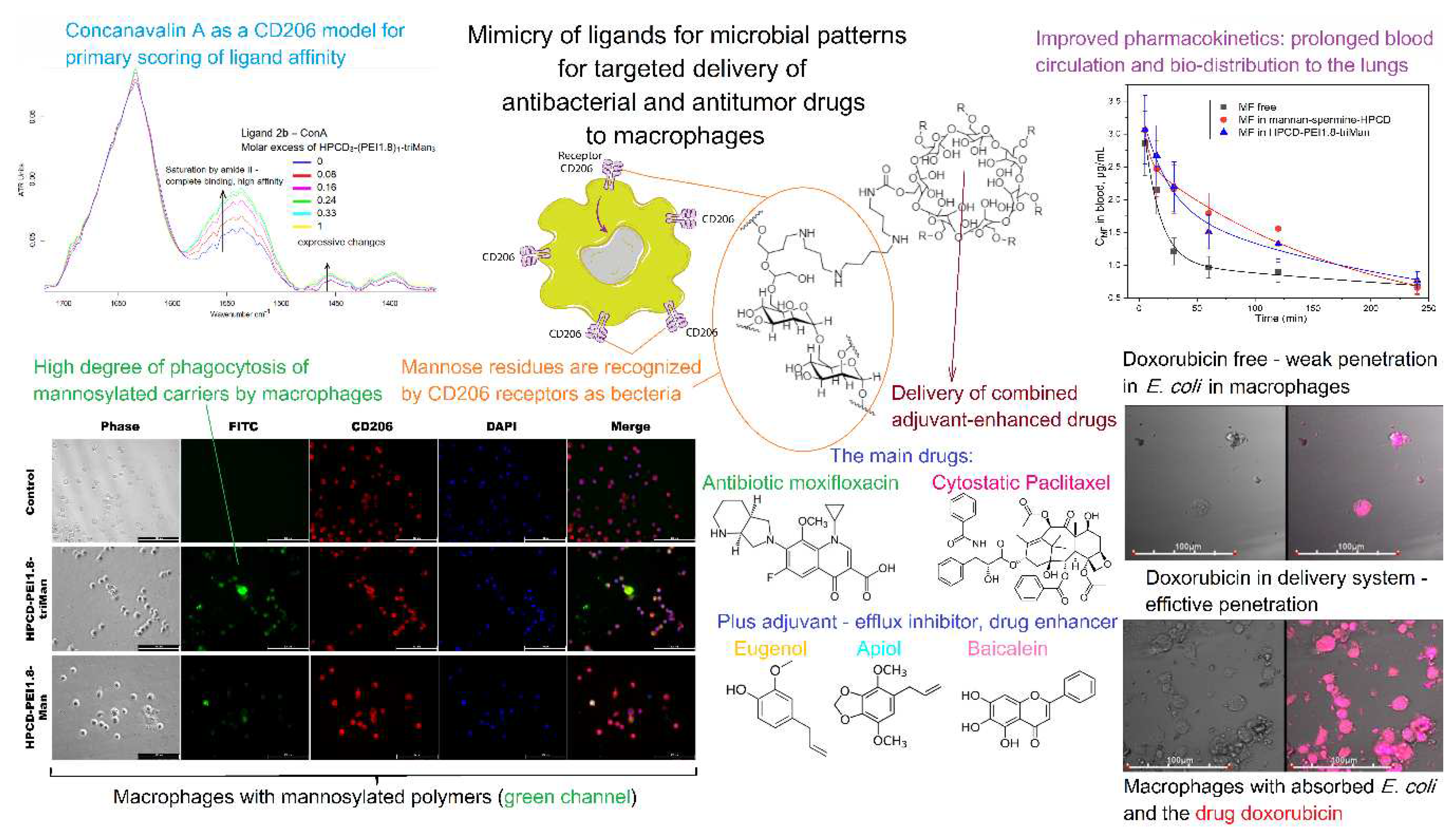 Preprints 82106 g006