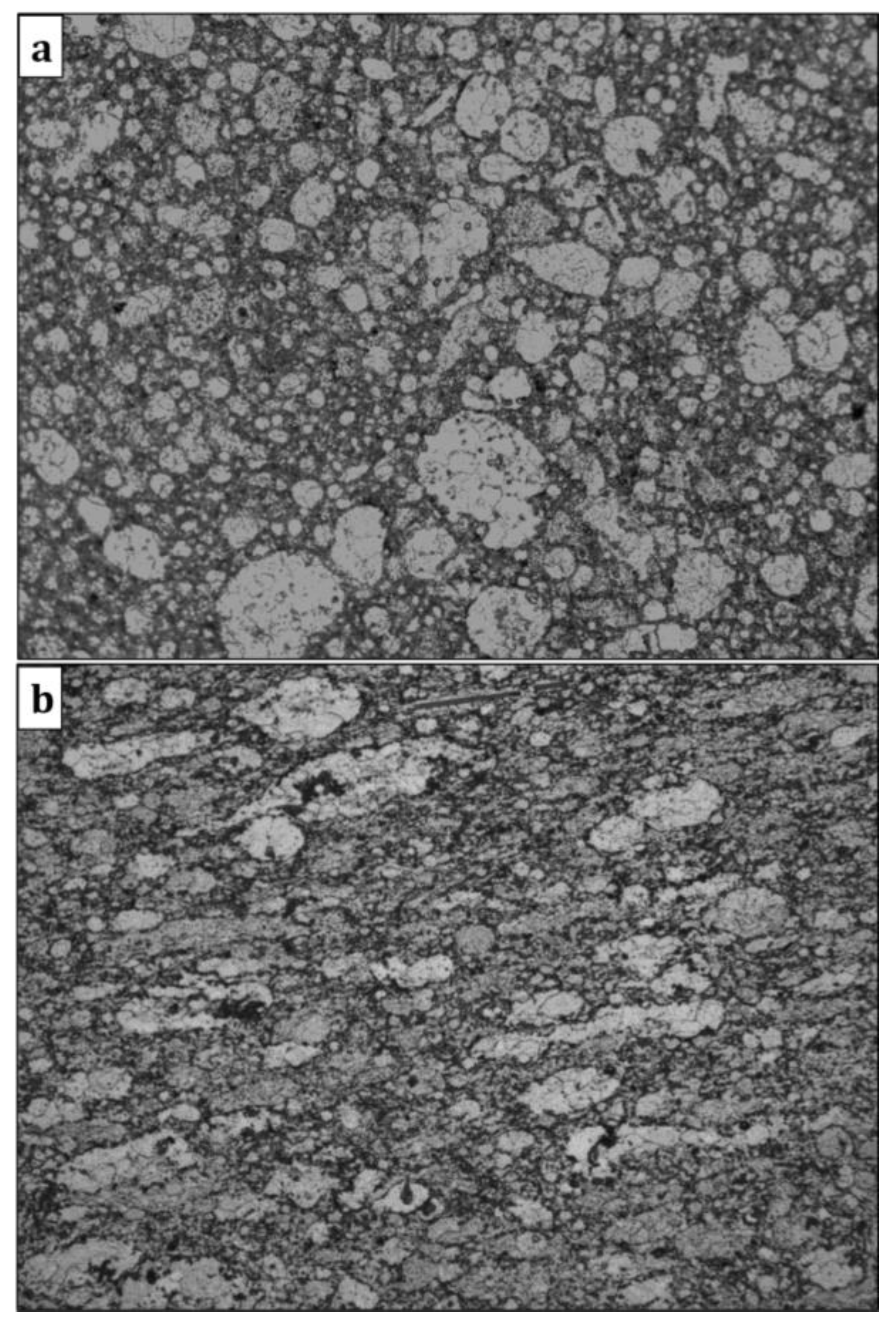 Preprints 108321 g009