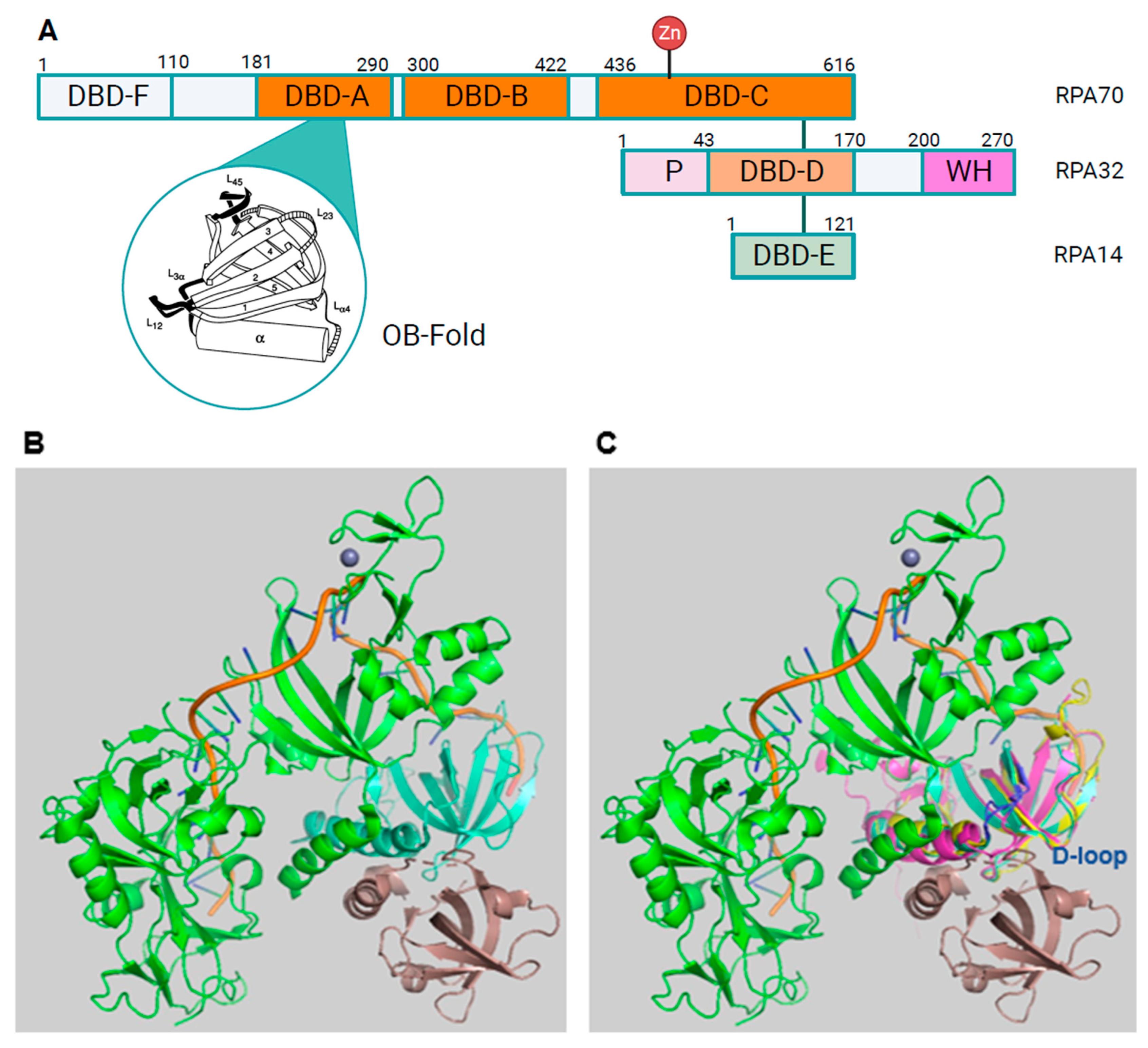 Preprints 91978 g001a