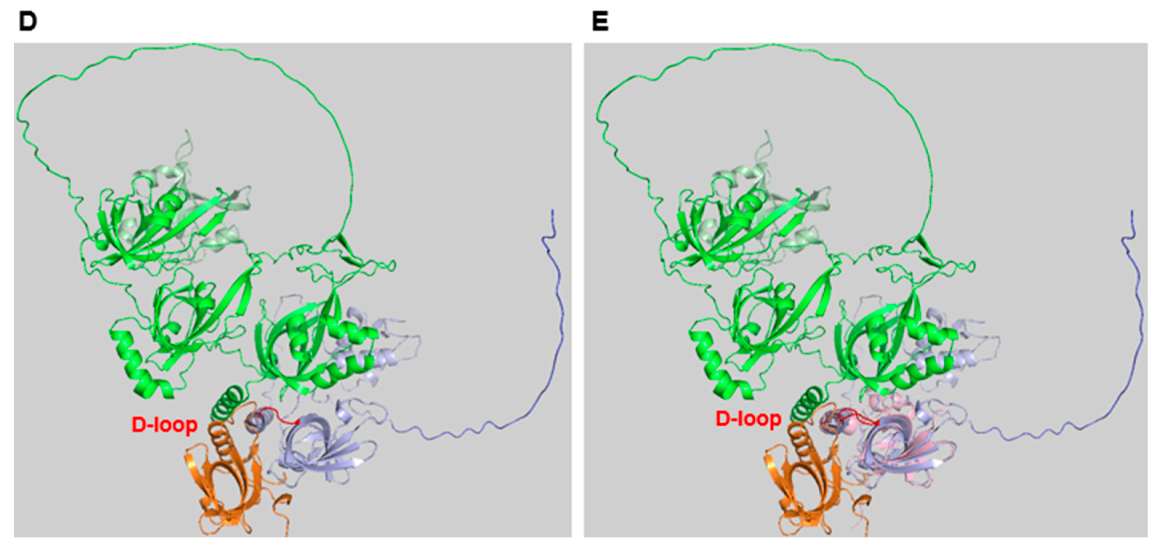 Preprints 91978 g001b