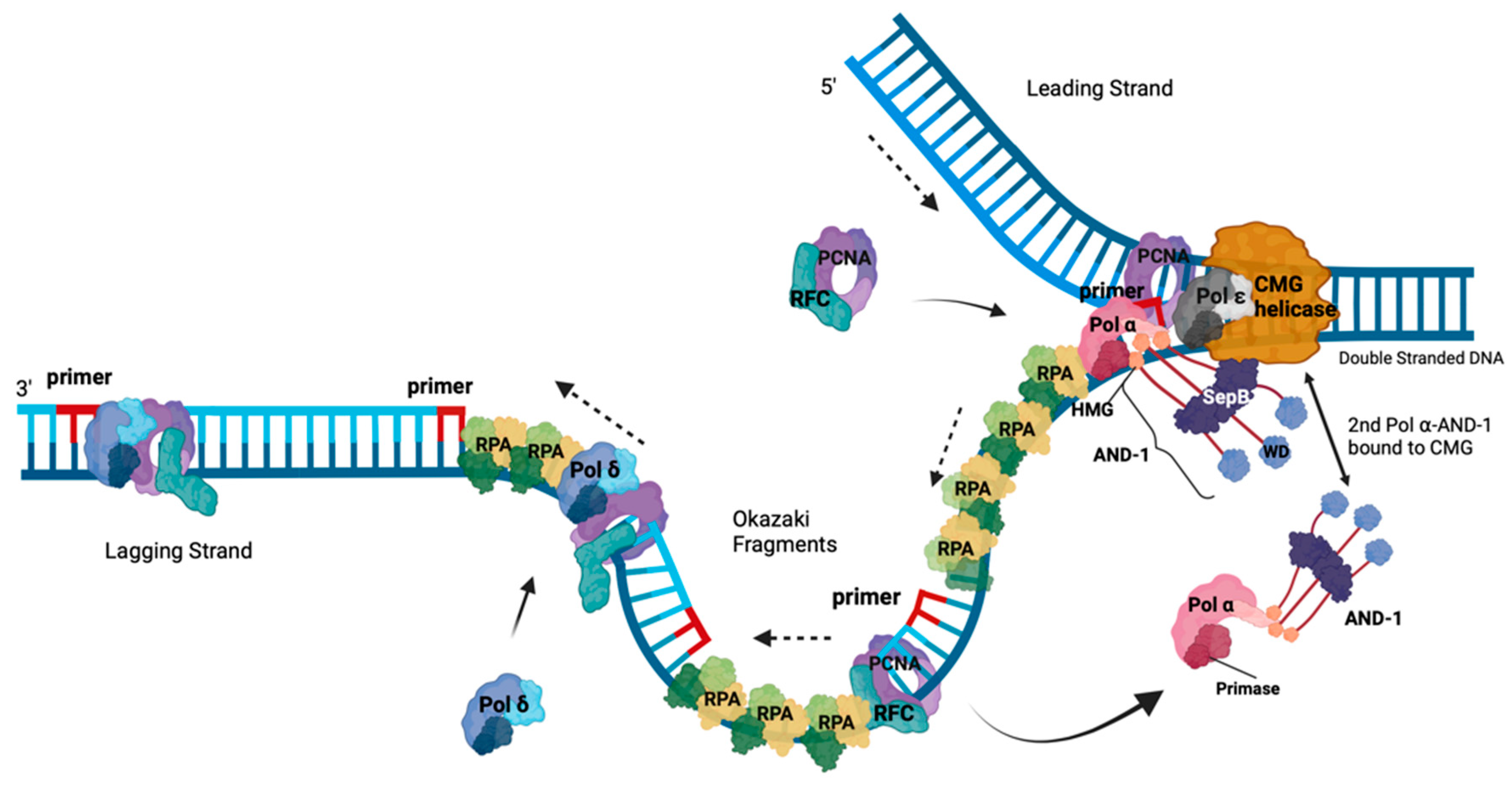 Preprints 91978 g002