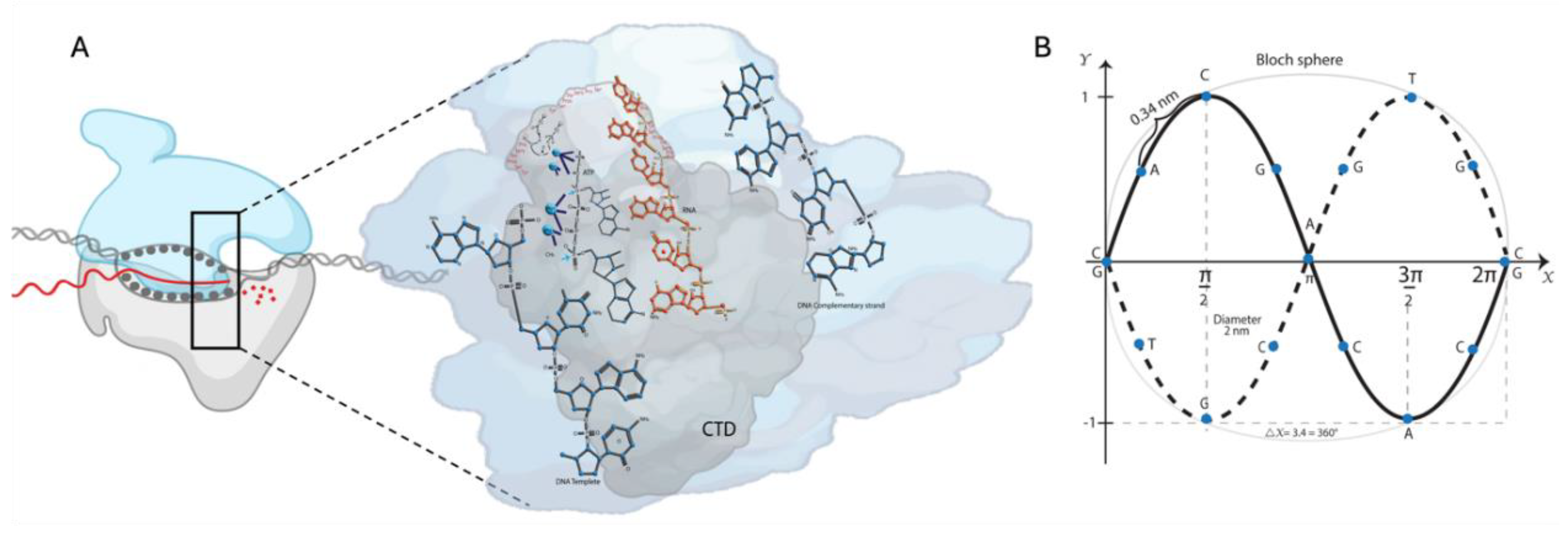 Preprints 119191 g001