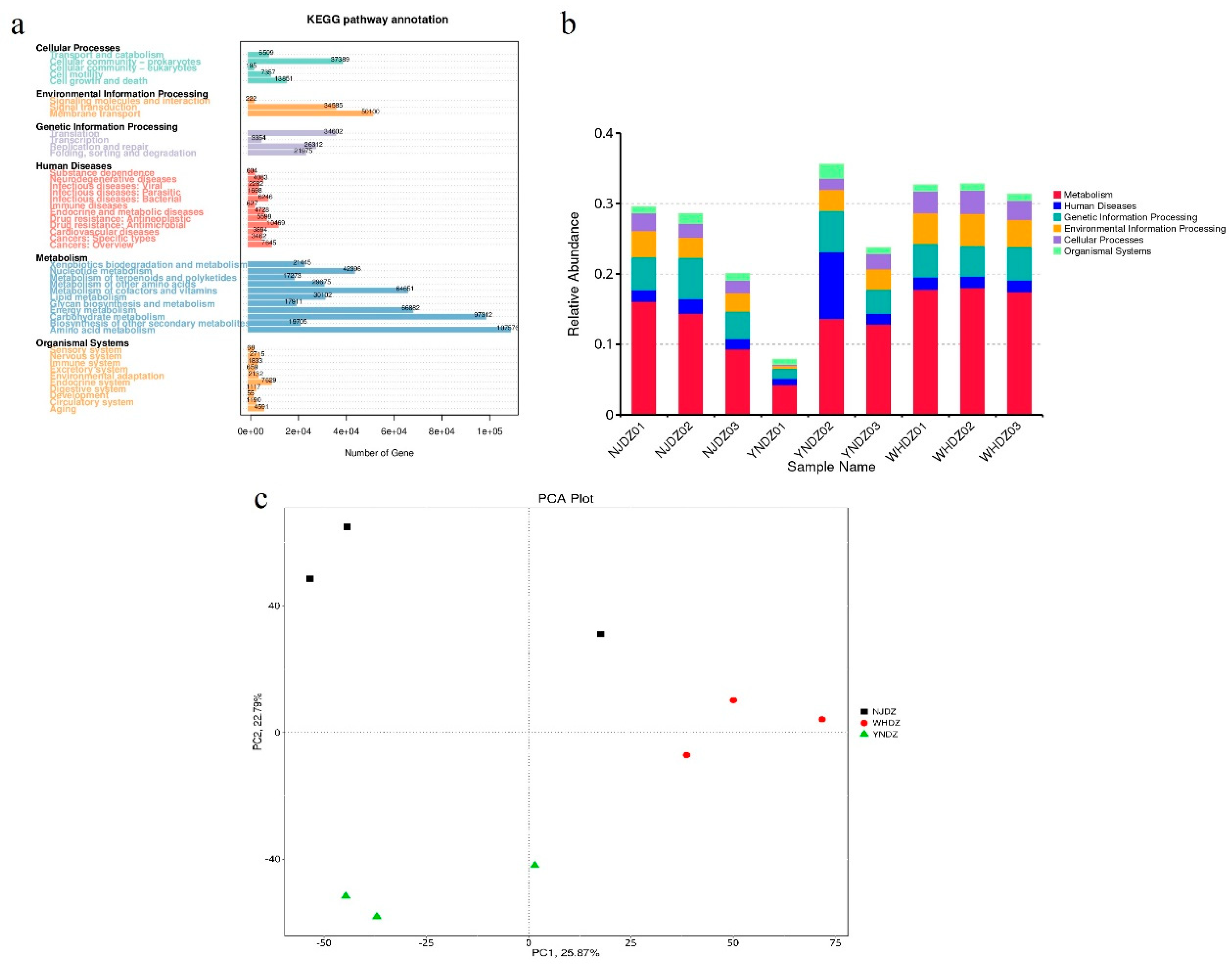 Preprints 74987 g003