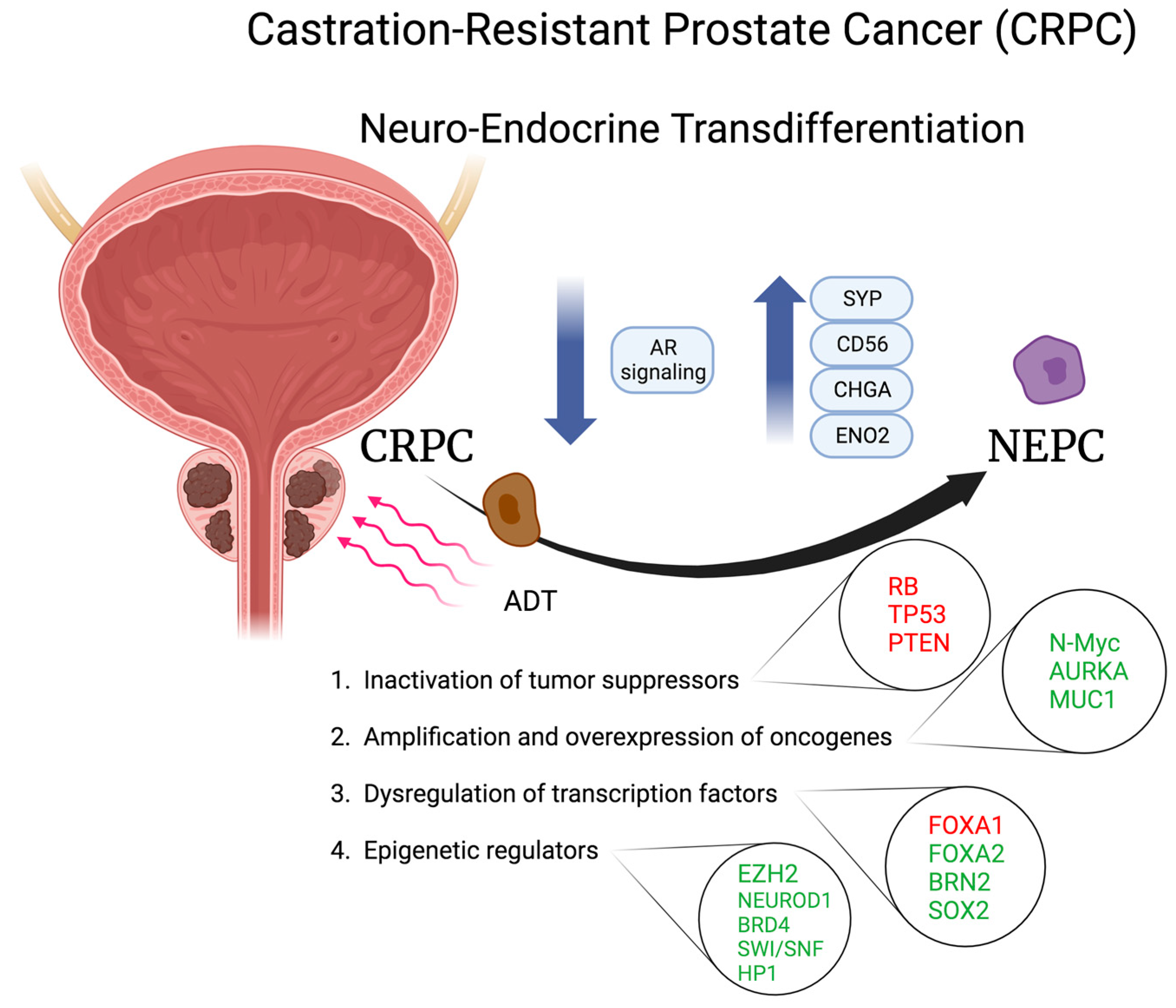 Preprints 97292 g002