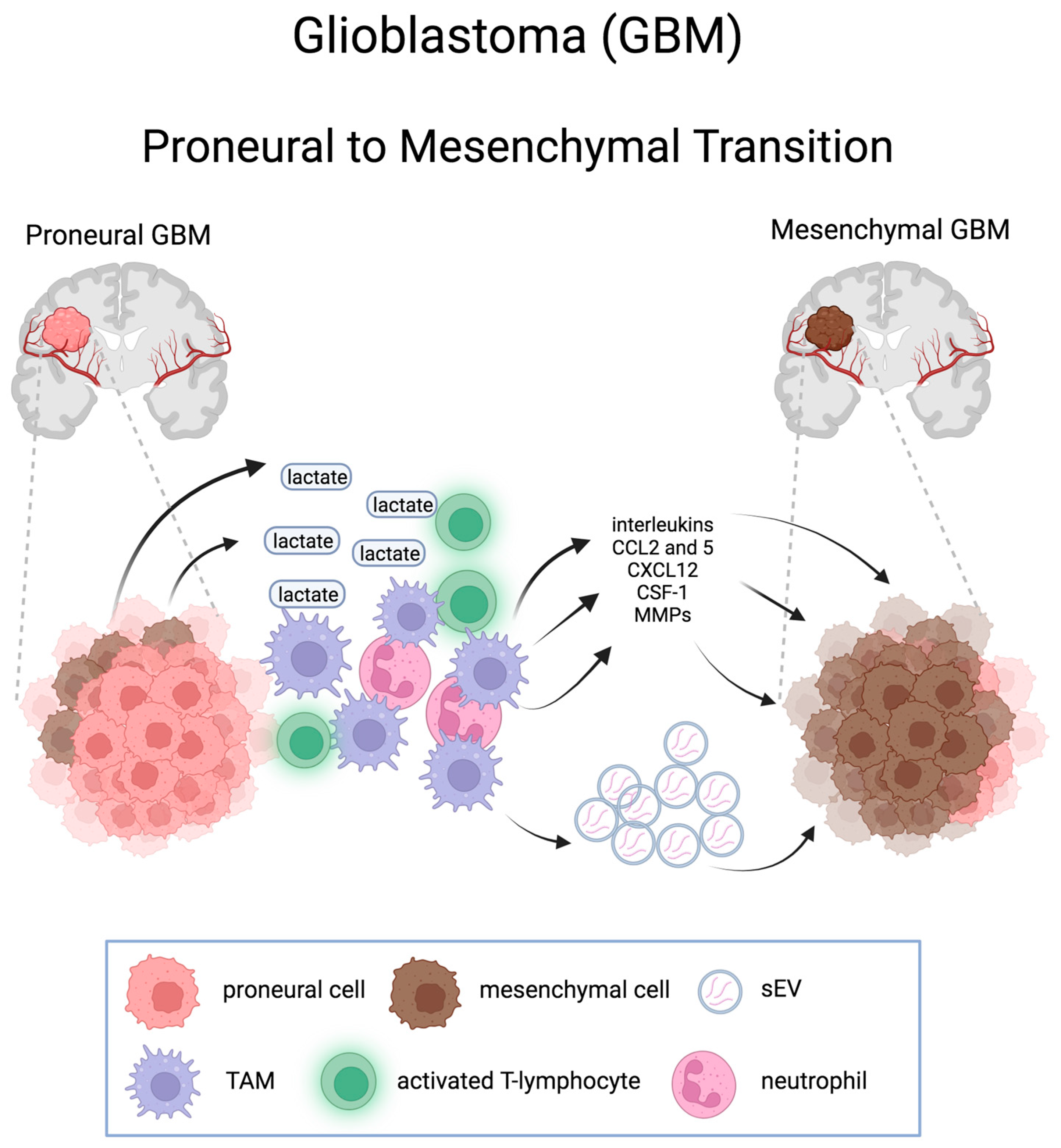 Preprints 97292 g003