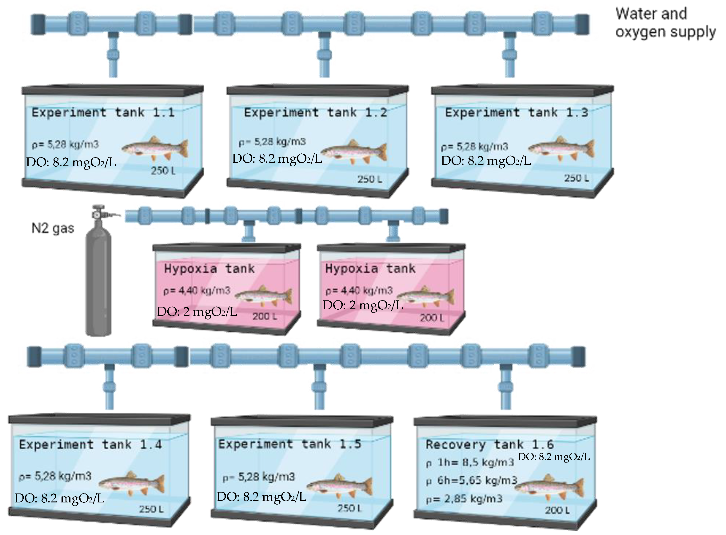 Preprints 75401 g001