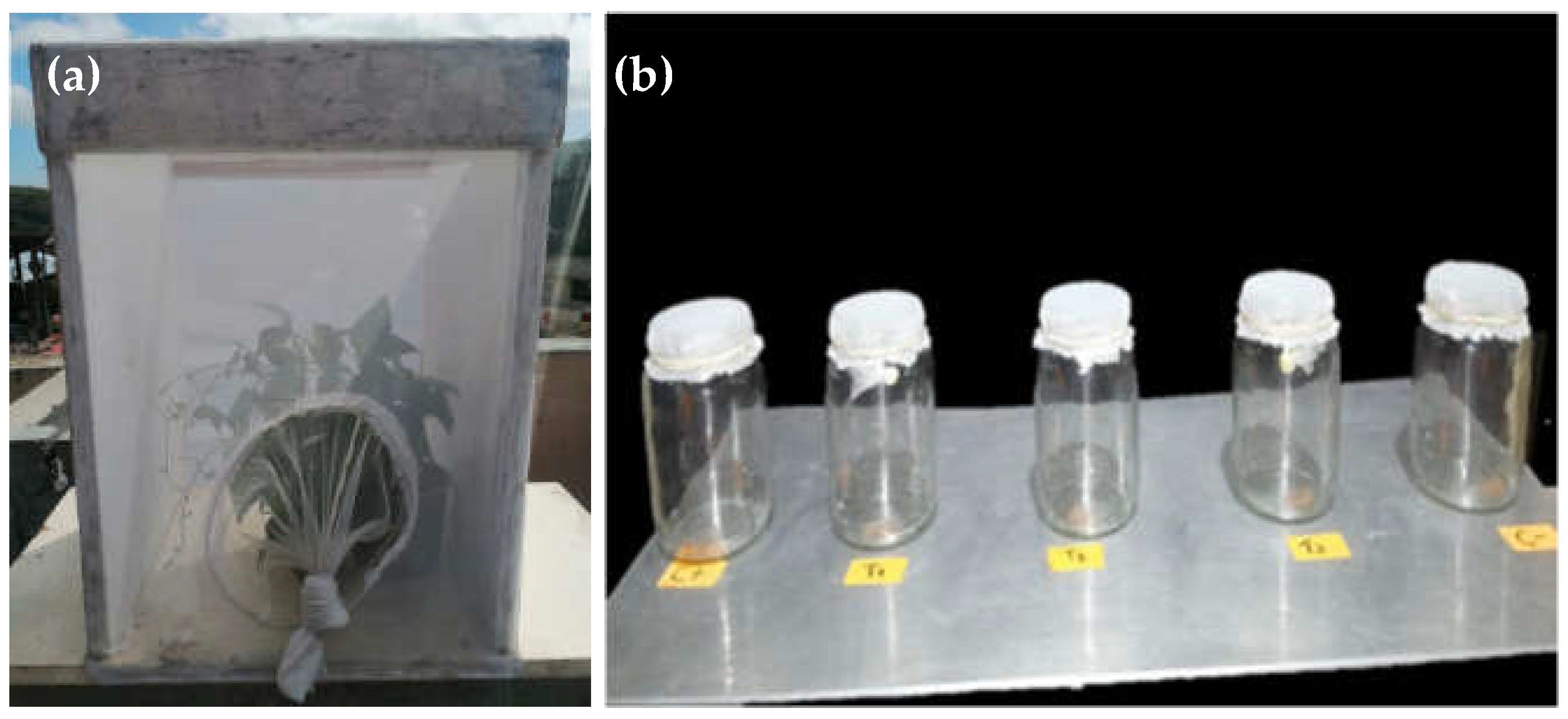 Preprints 70478 g003