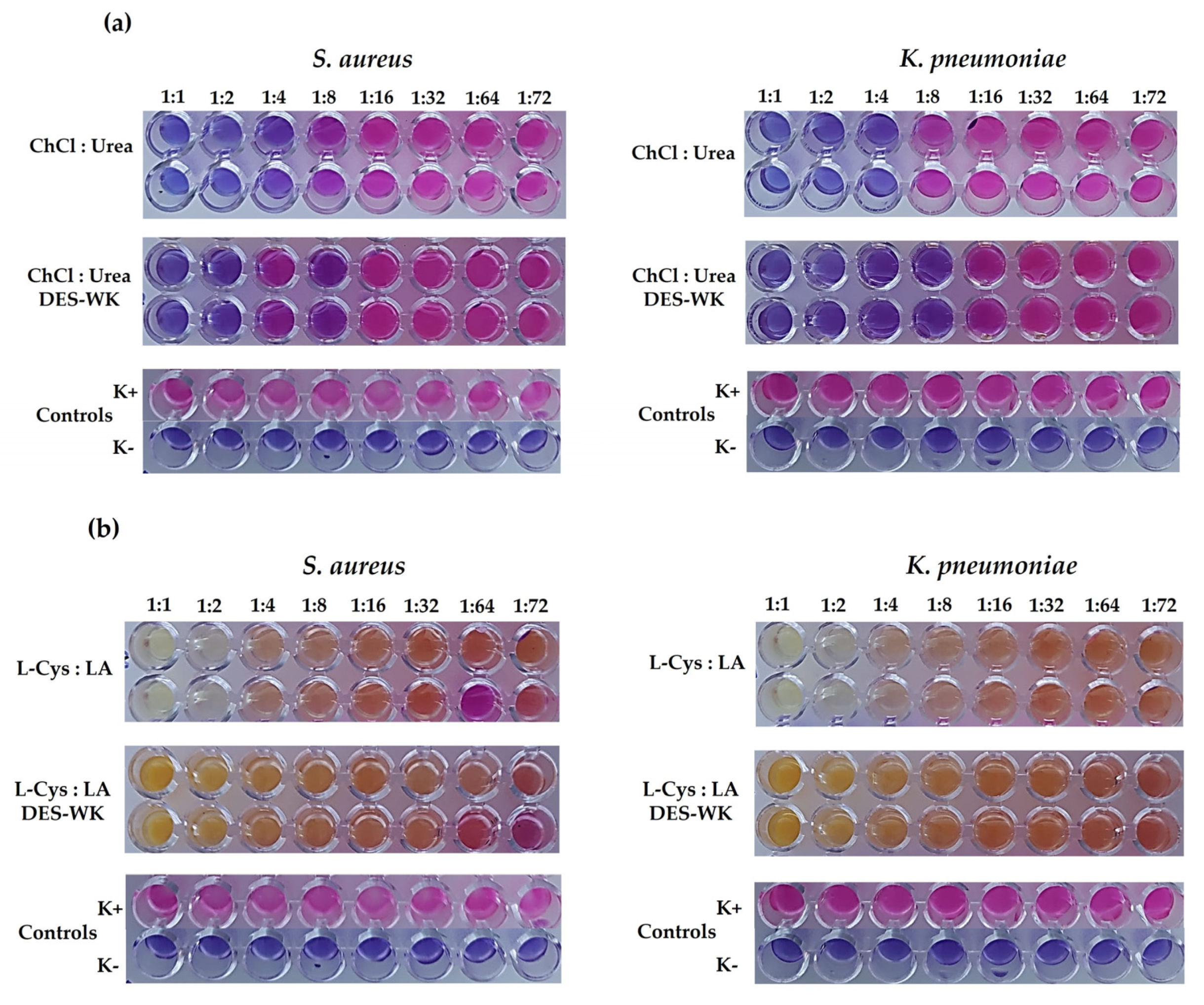 Preprints 80198 g002