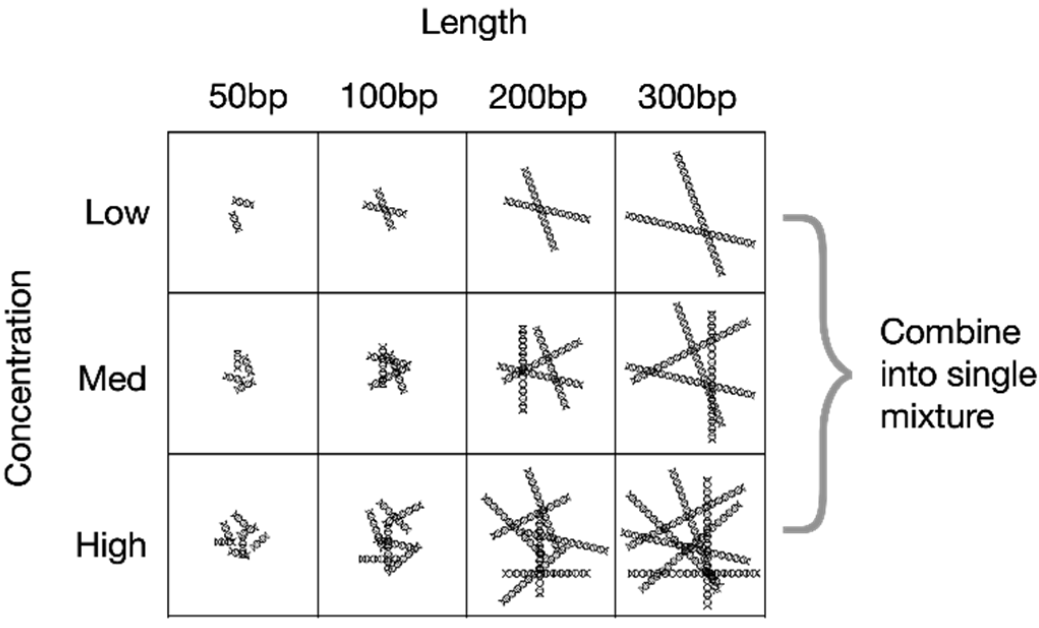 Preprints 97995 g002