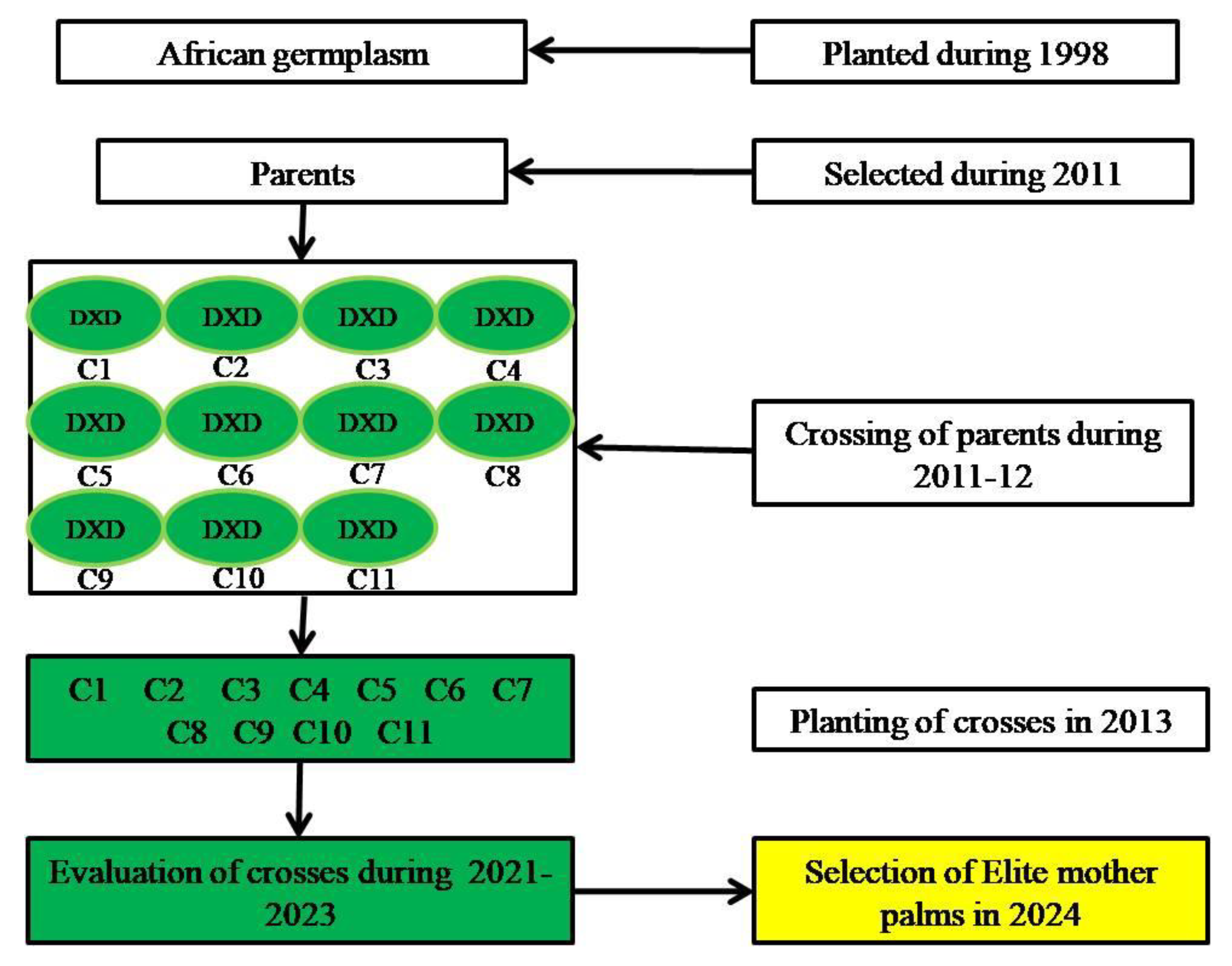 Preprints 117886 g007