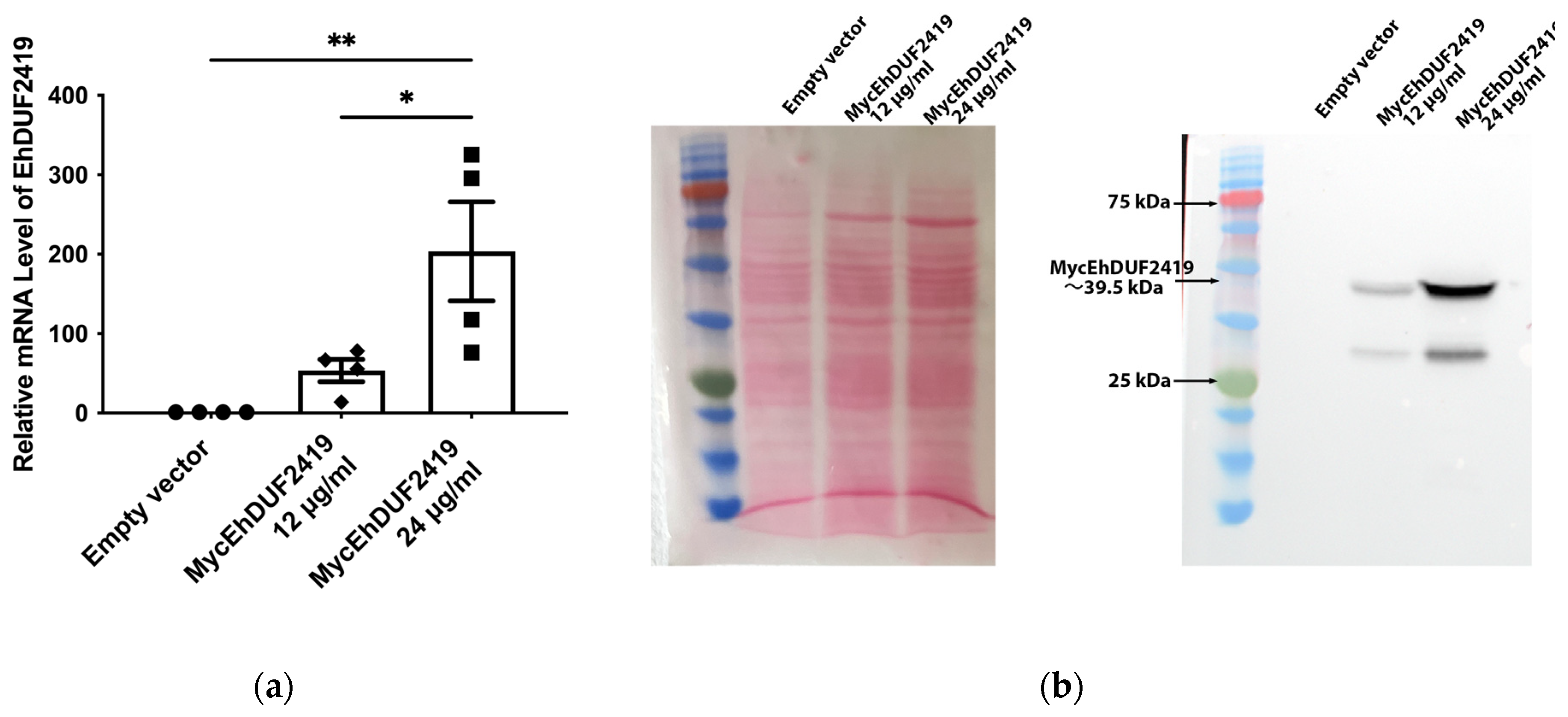 Preprints 119185 g001