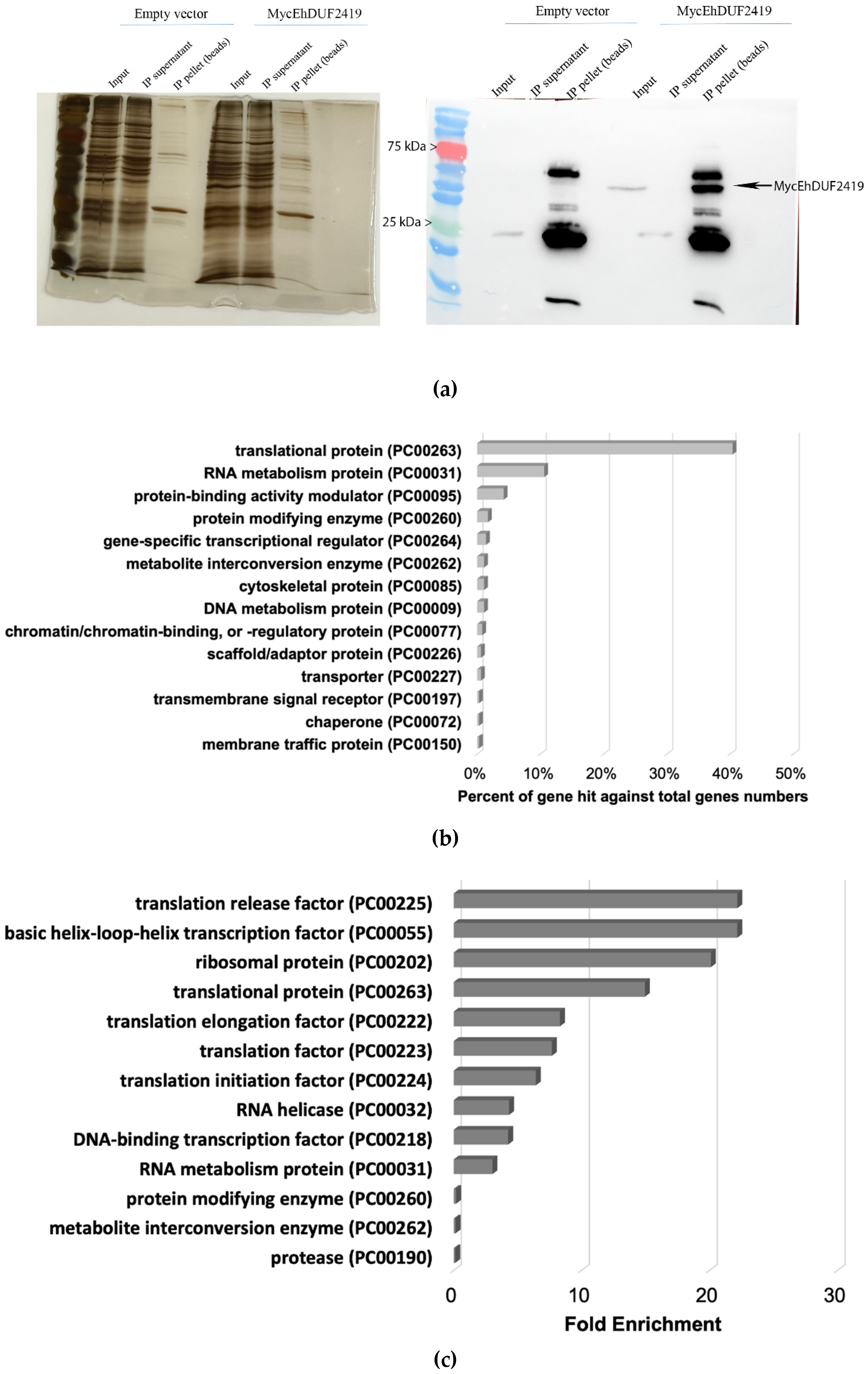 Preprints 119185 g002