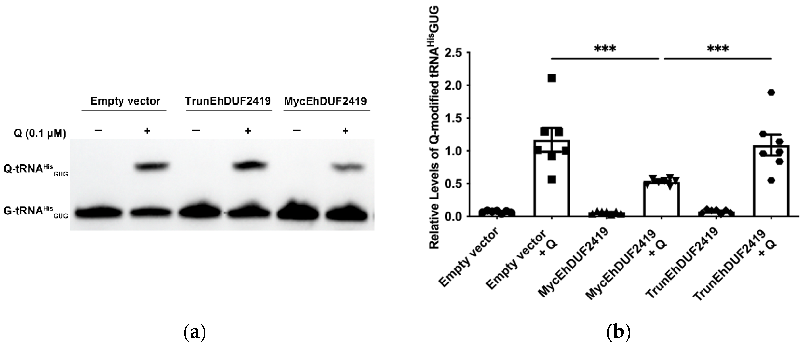 Preprints 119185 g006