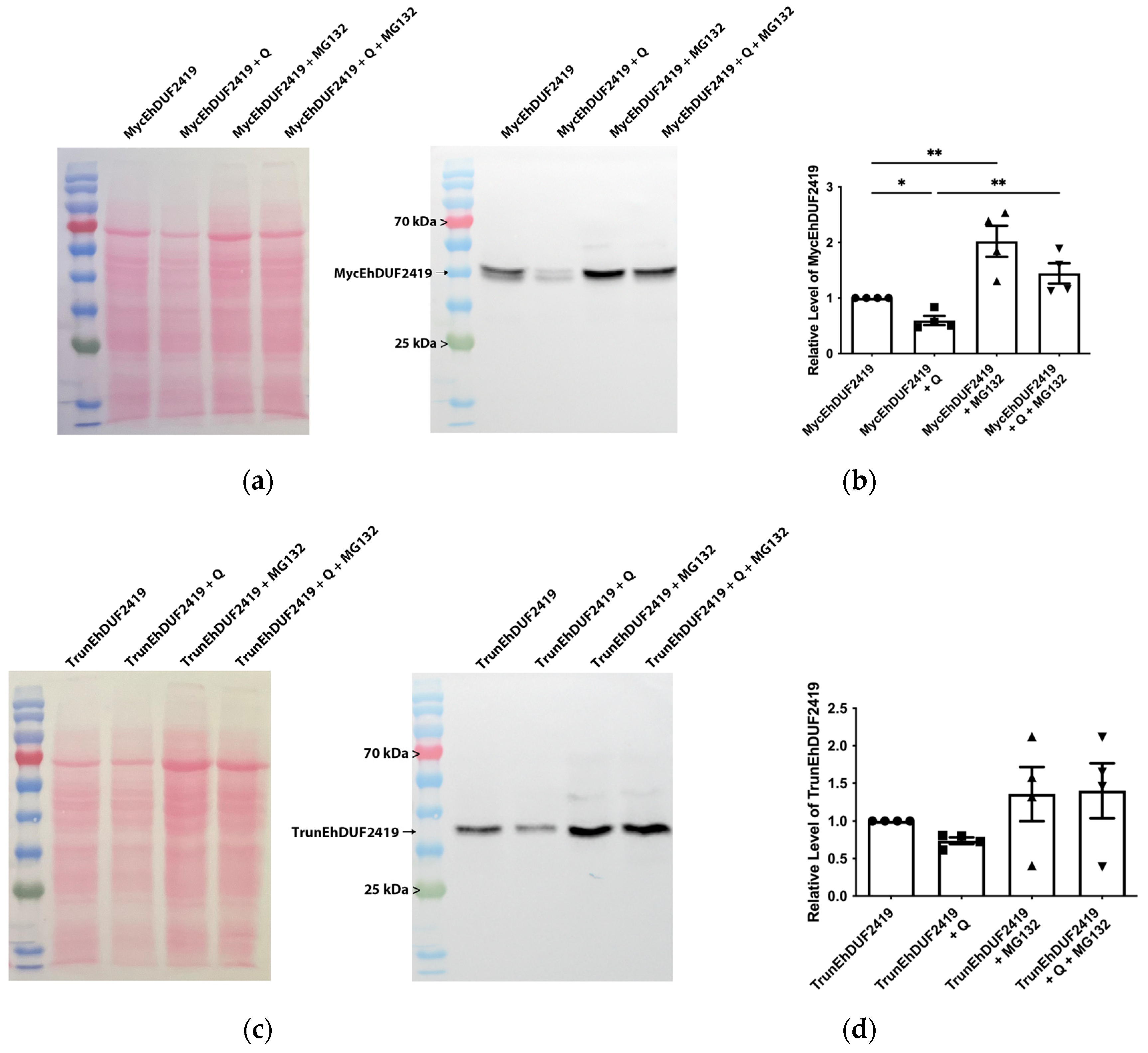 Preprints 119185 g009