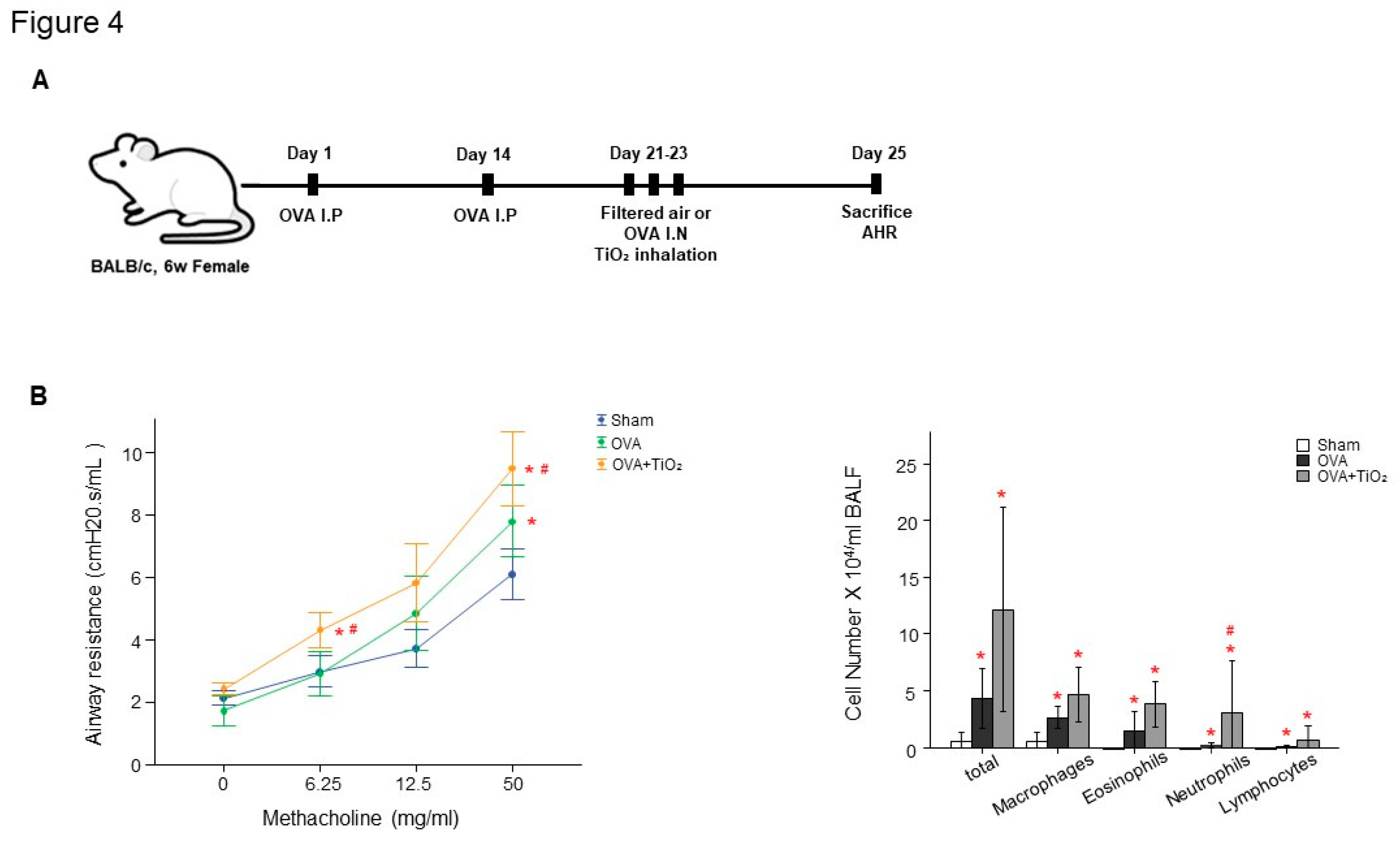 Preprints 74539 g004