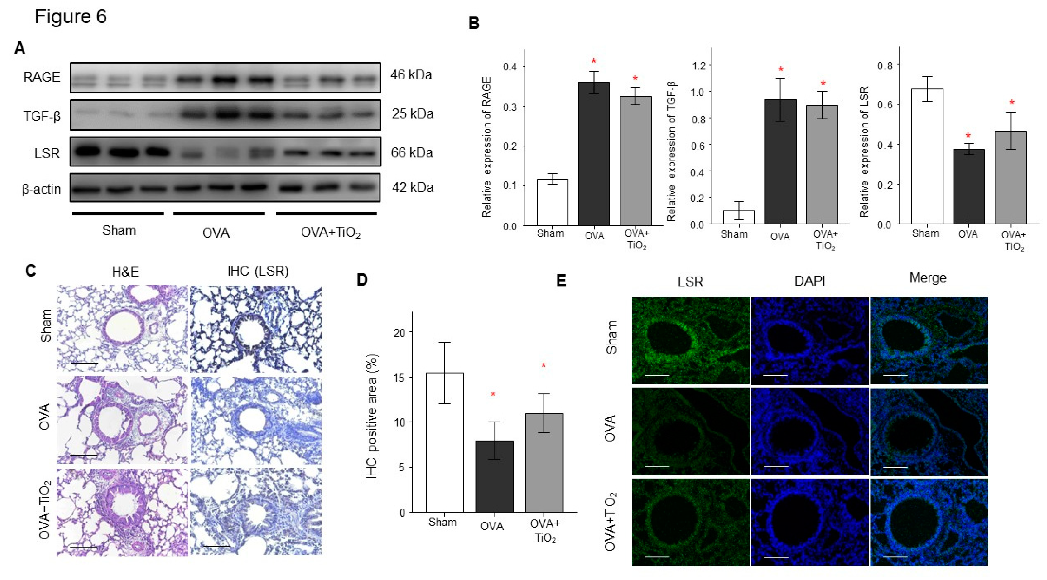 Preprints 74539 g006