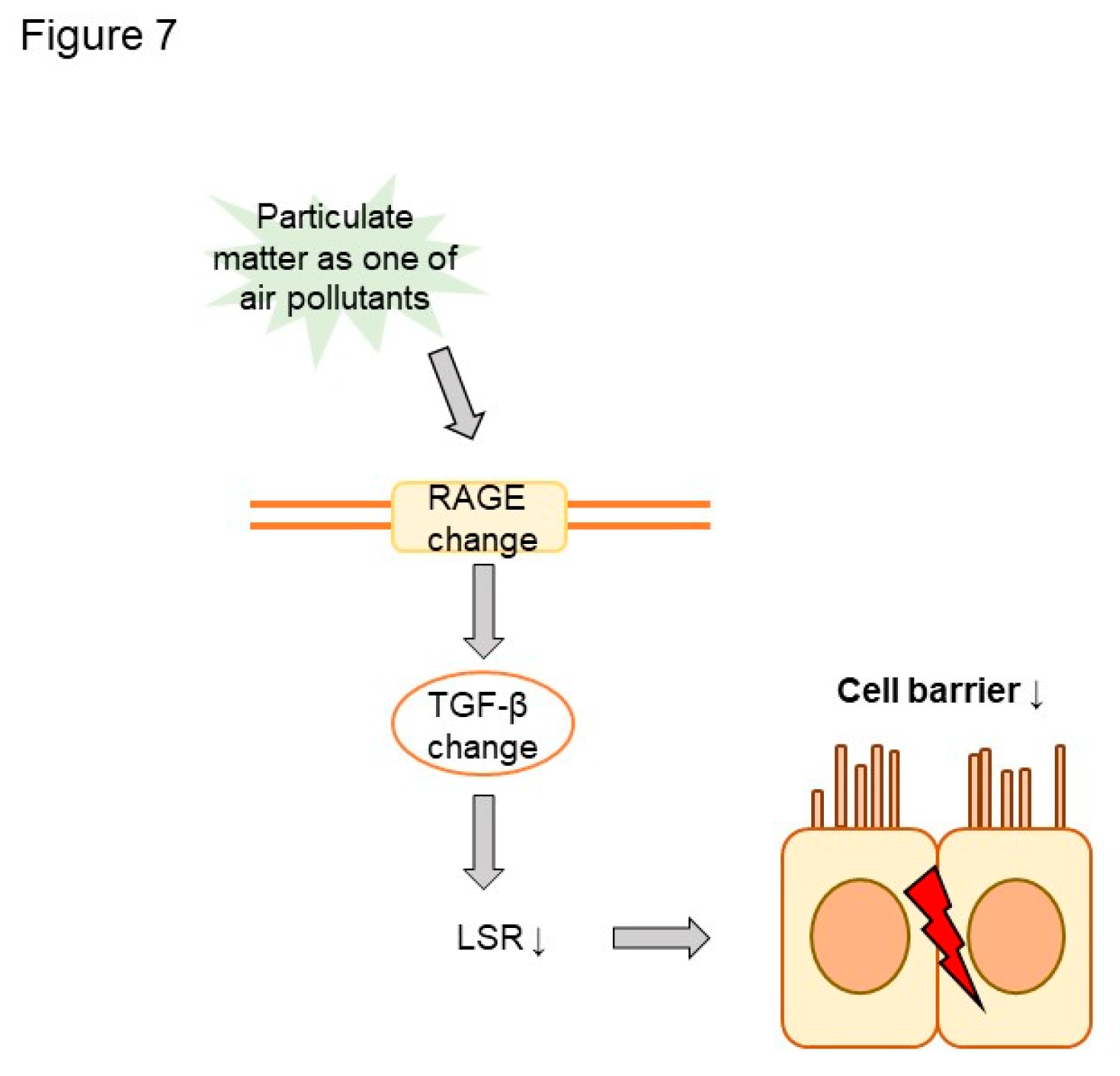 Preprints 74539 g007