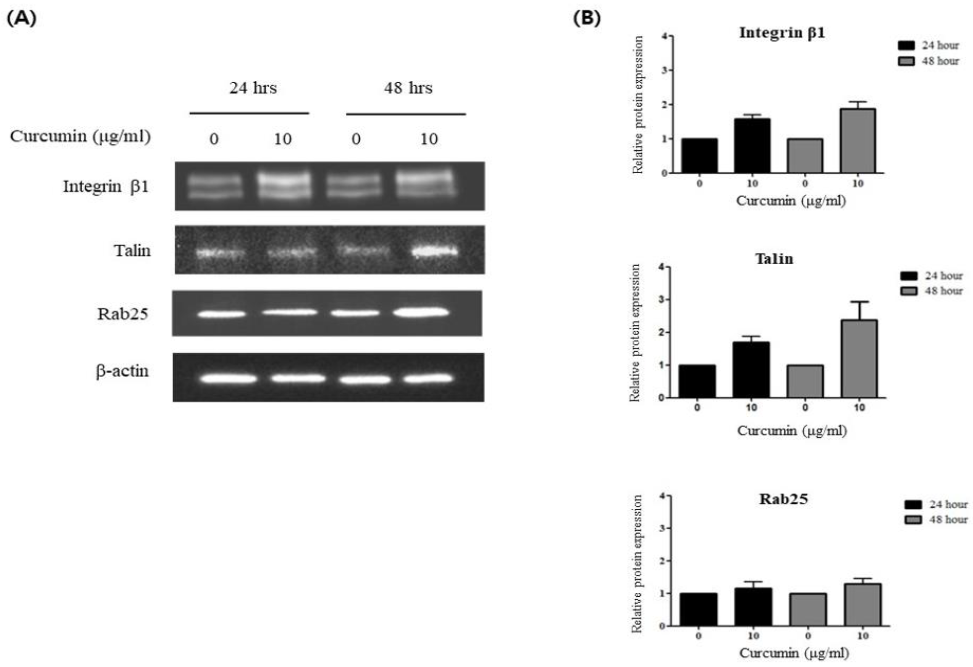 Preprints 107988 g002