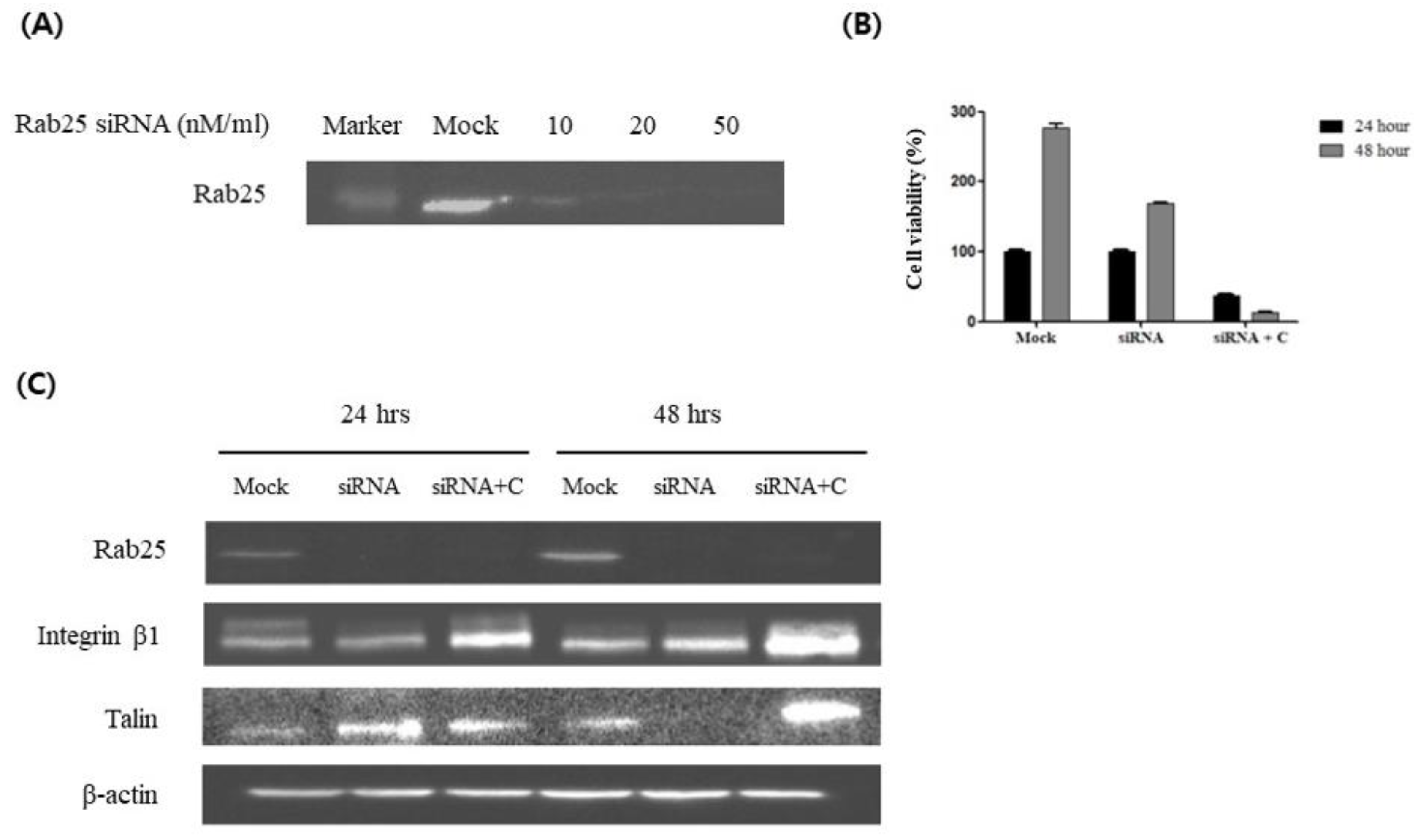 Preprints 107988 g003