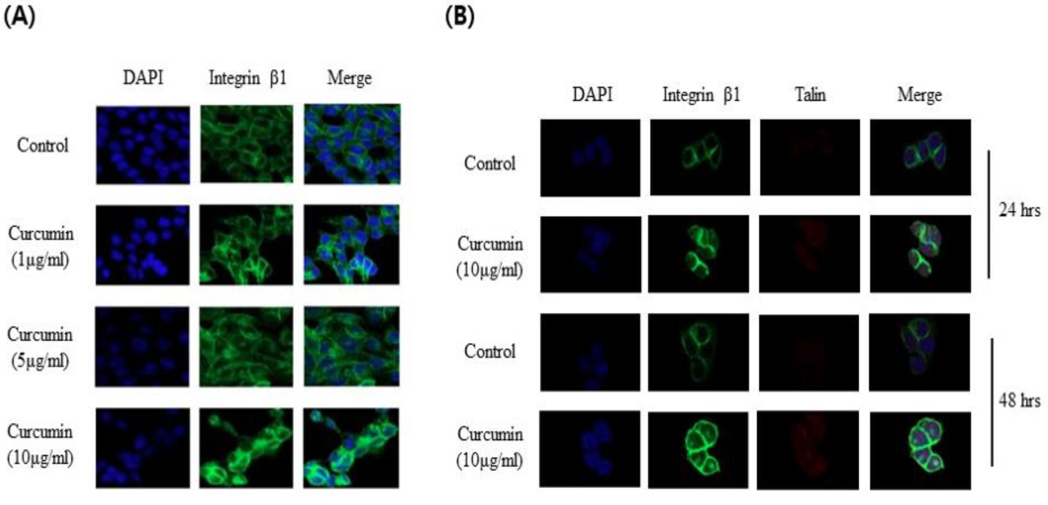 Preprints 107988 g004